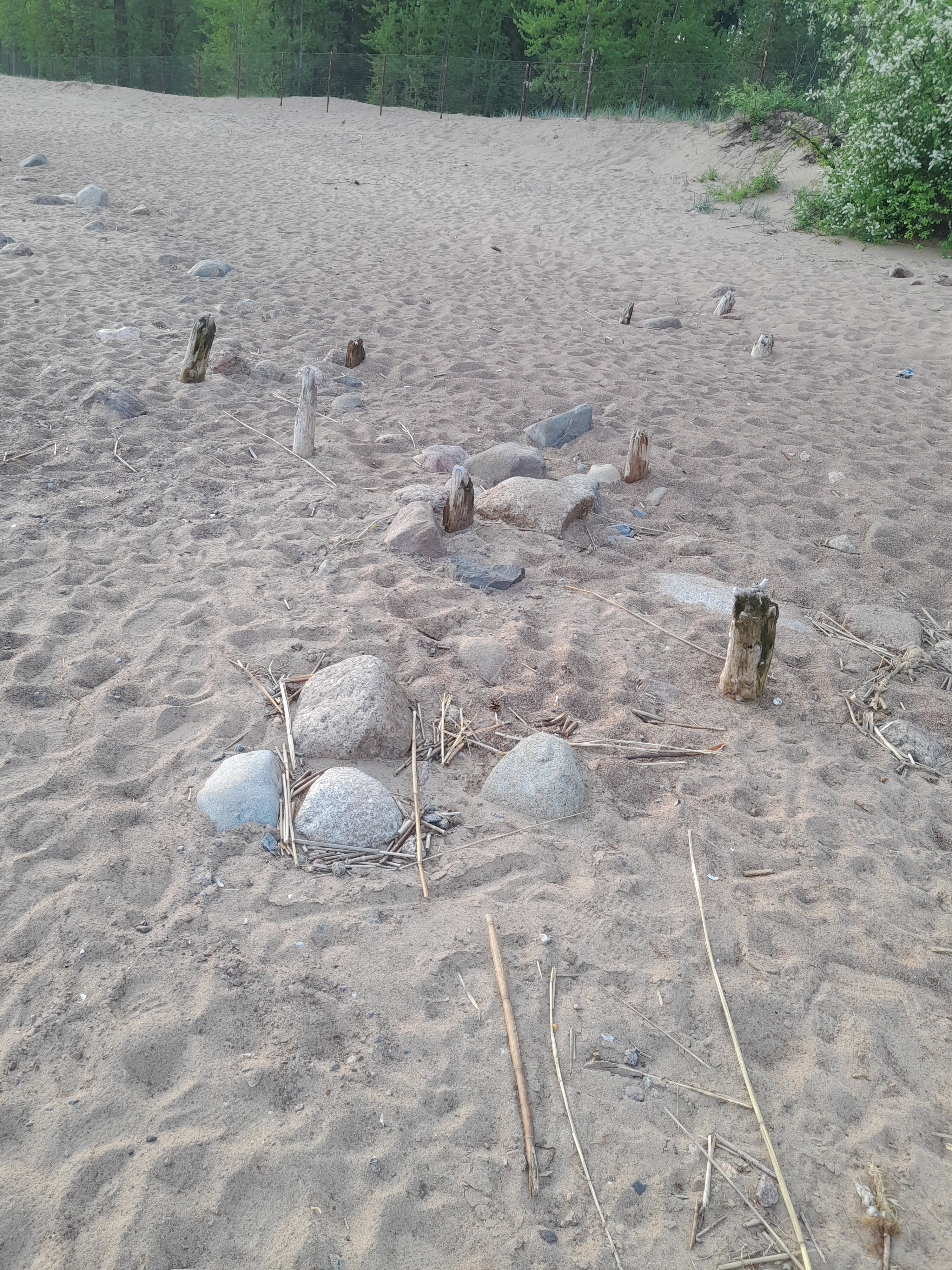 Фото Дом творчества Архитектор