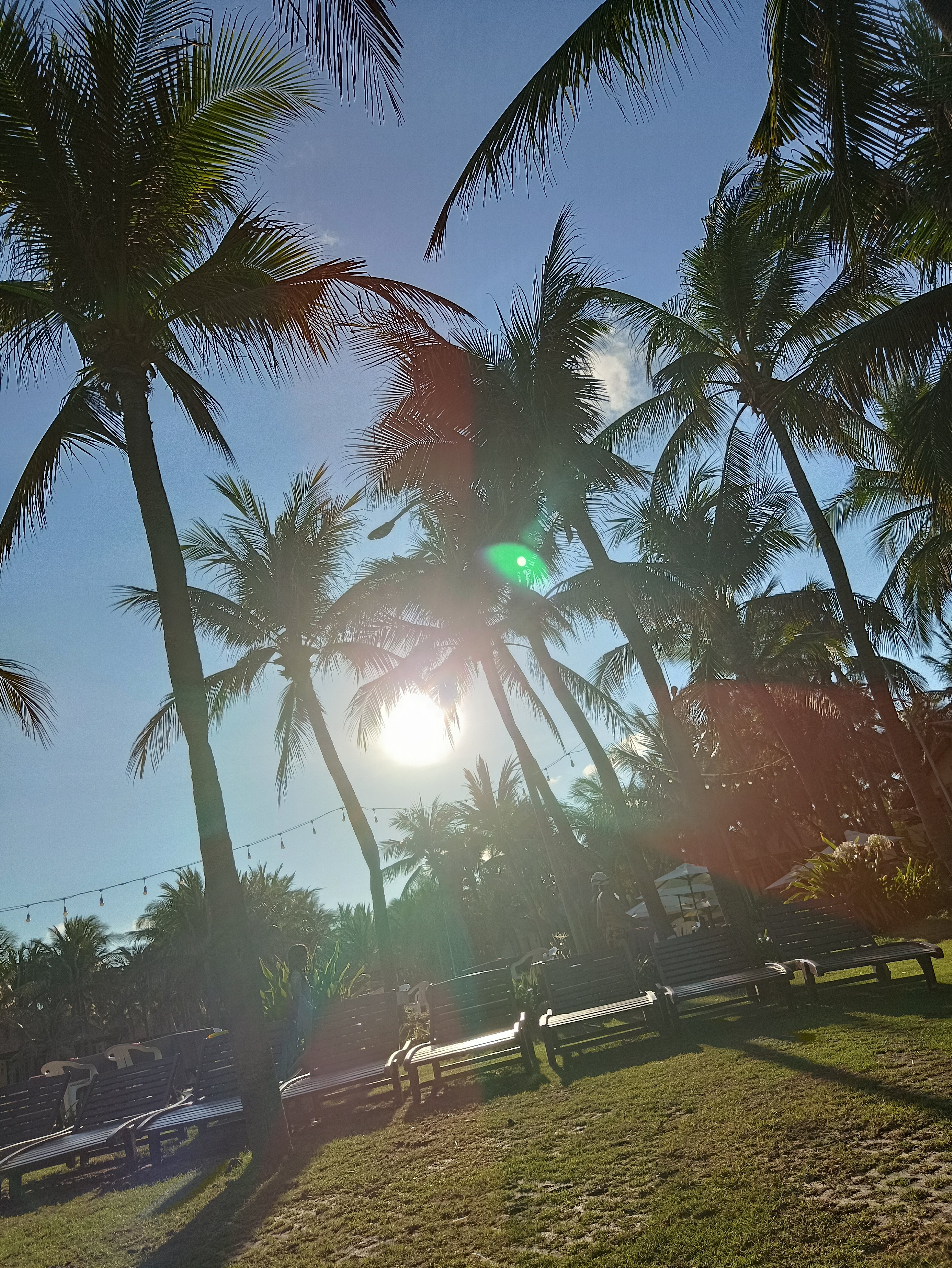 Фото Pandanus Resort