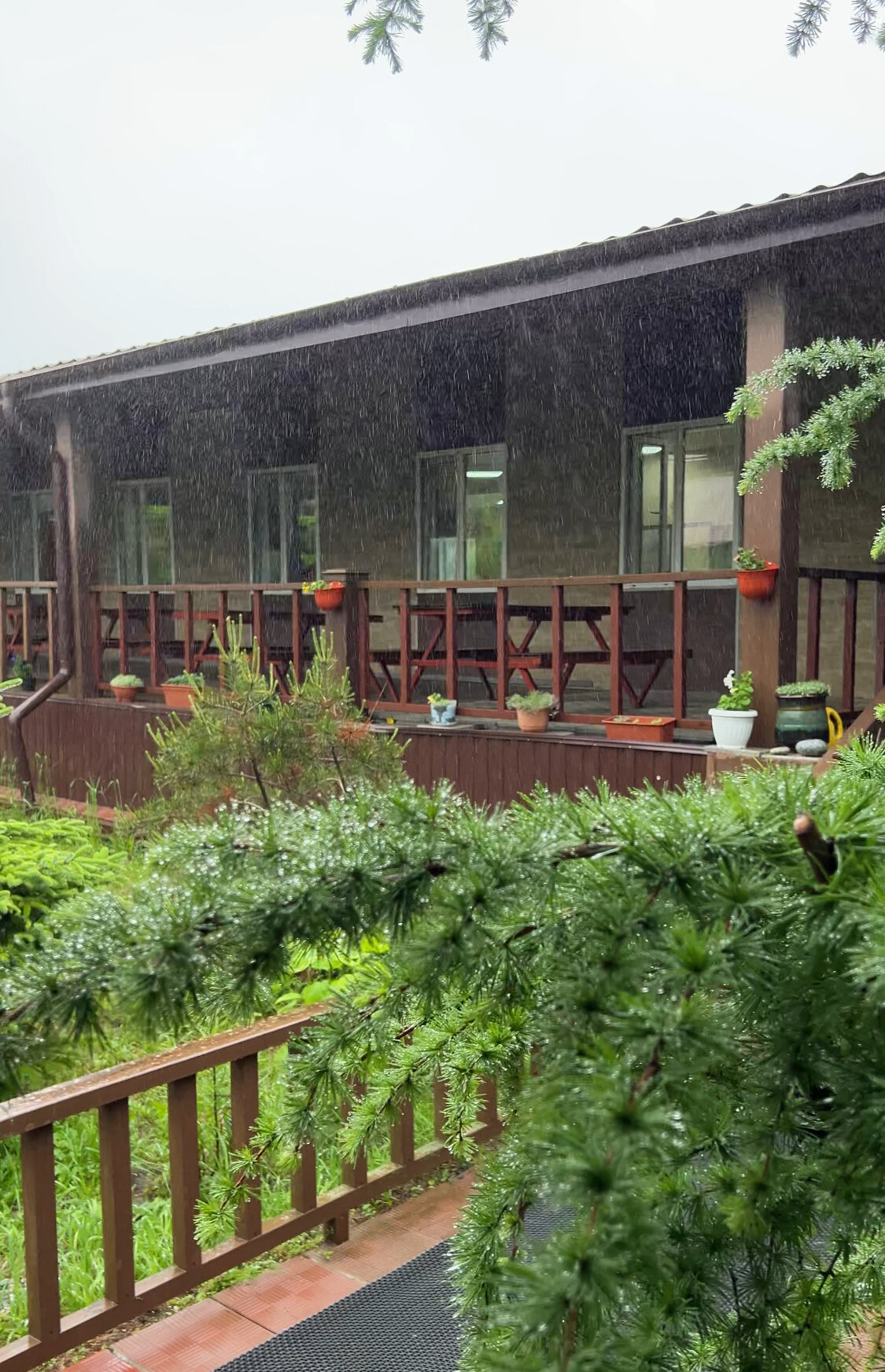 Фото СКАТ-Витязь