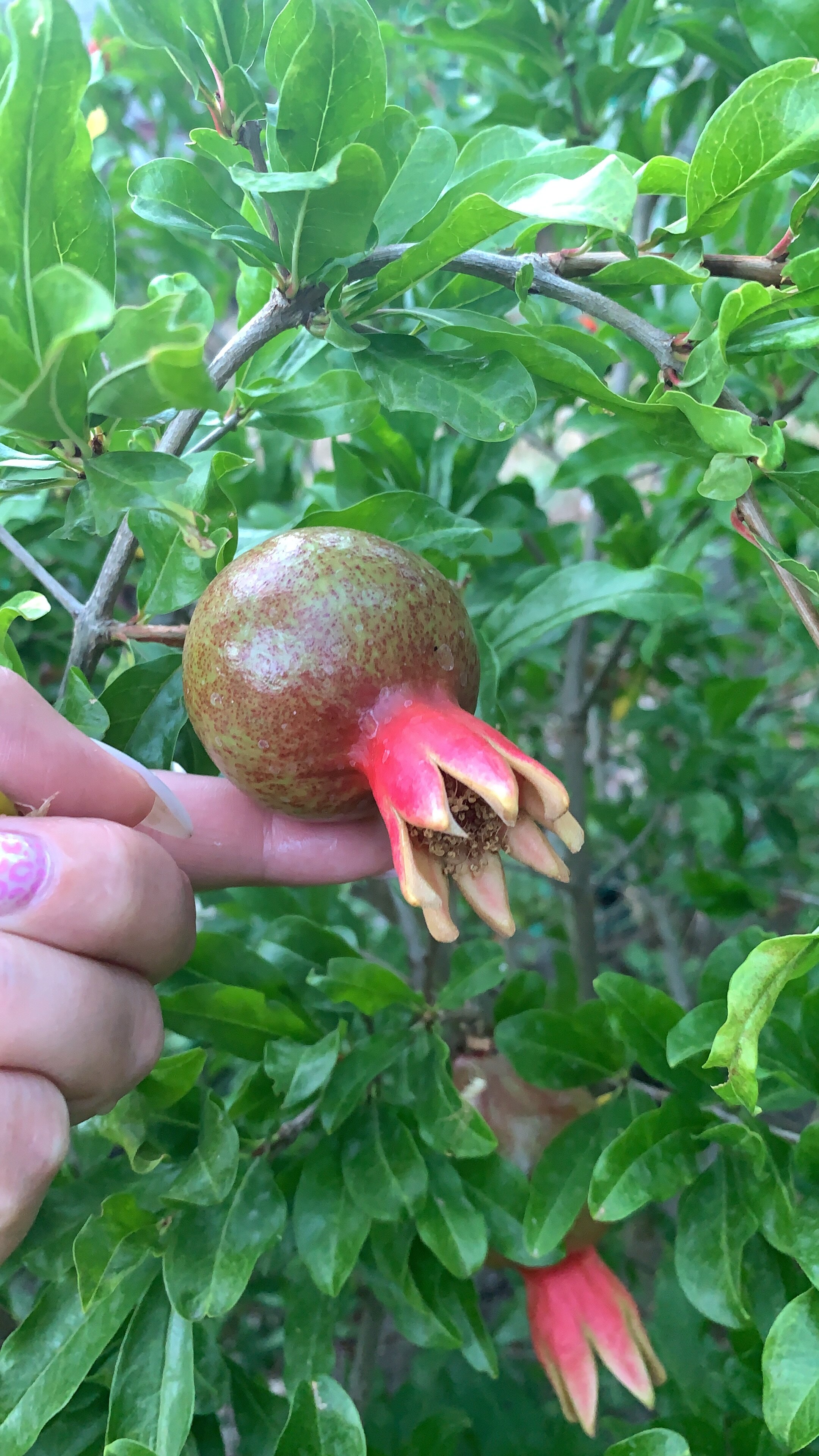 Фото Под крепостью