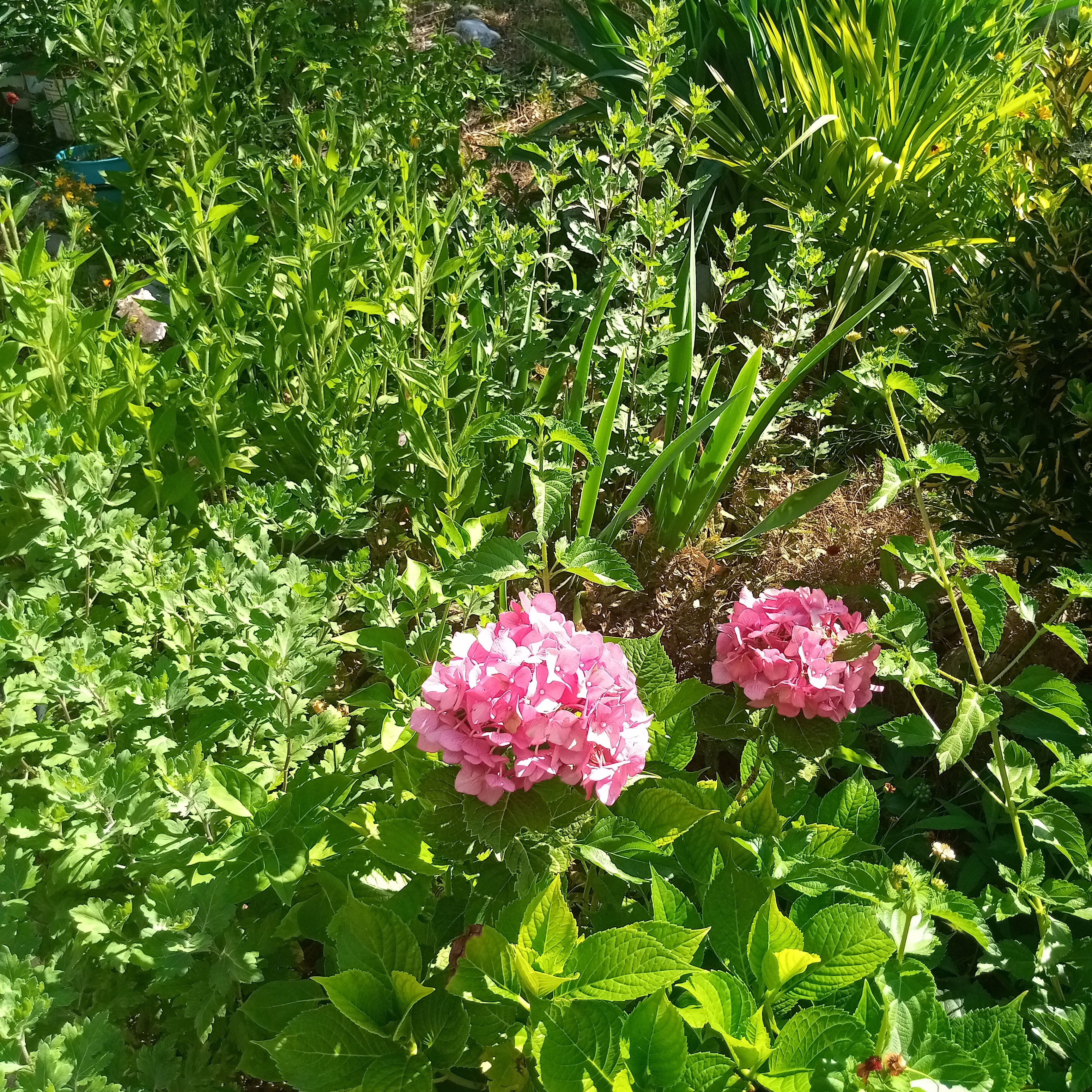 Фото Гостевой Дом Изабелла