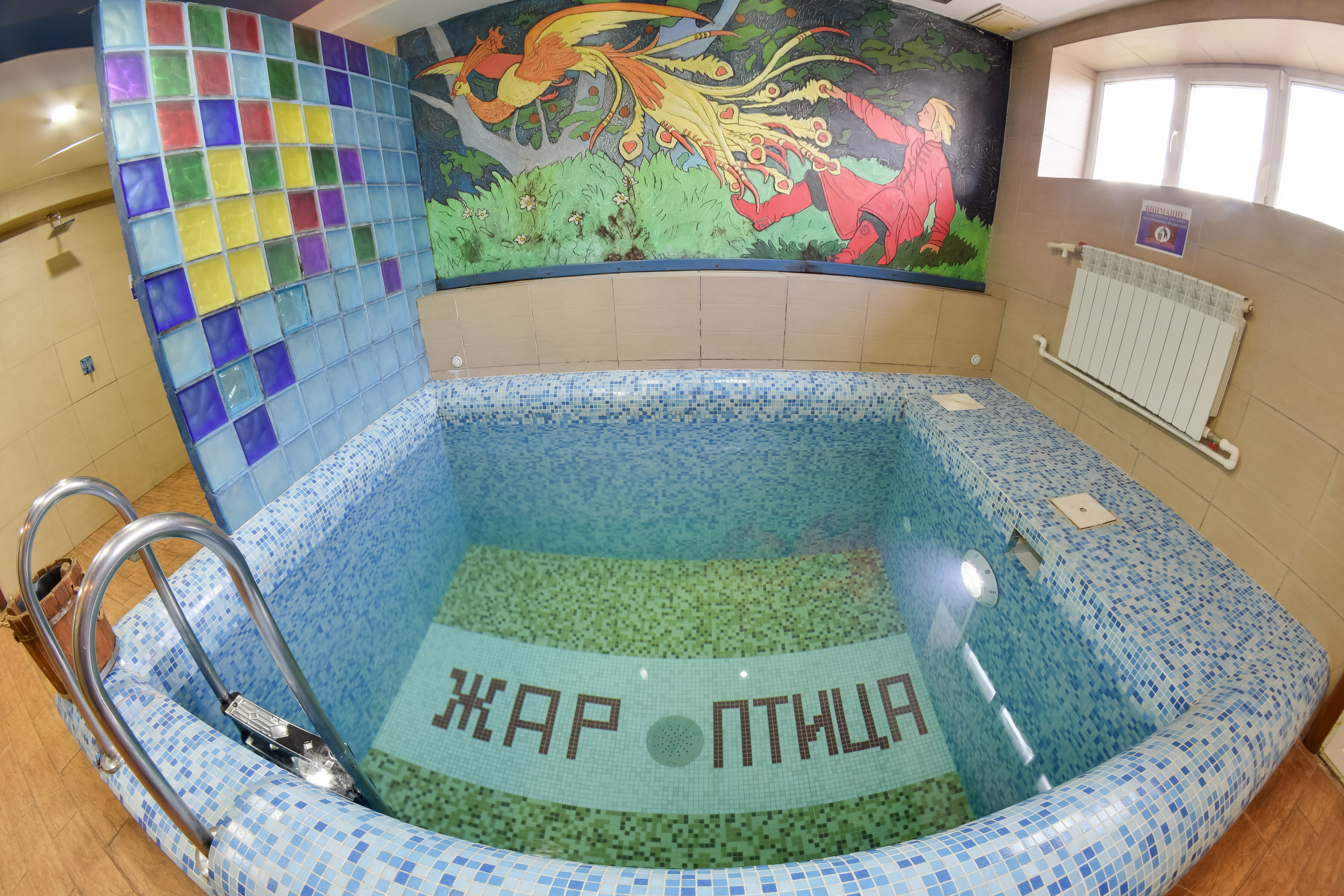 Фото Жар-Птица