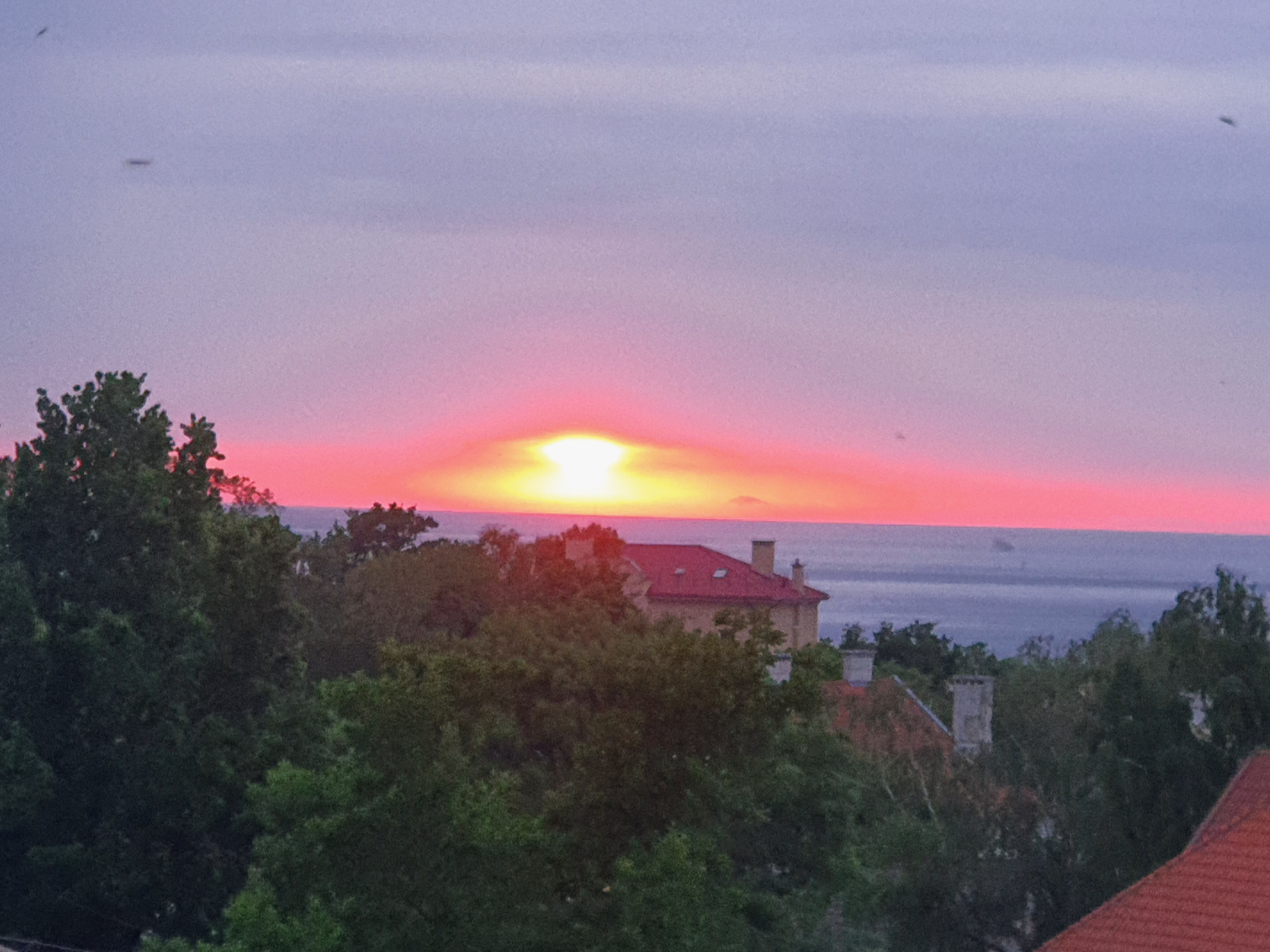 Фото На Сибирякова 7