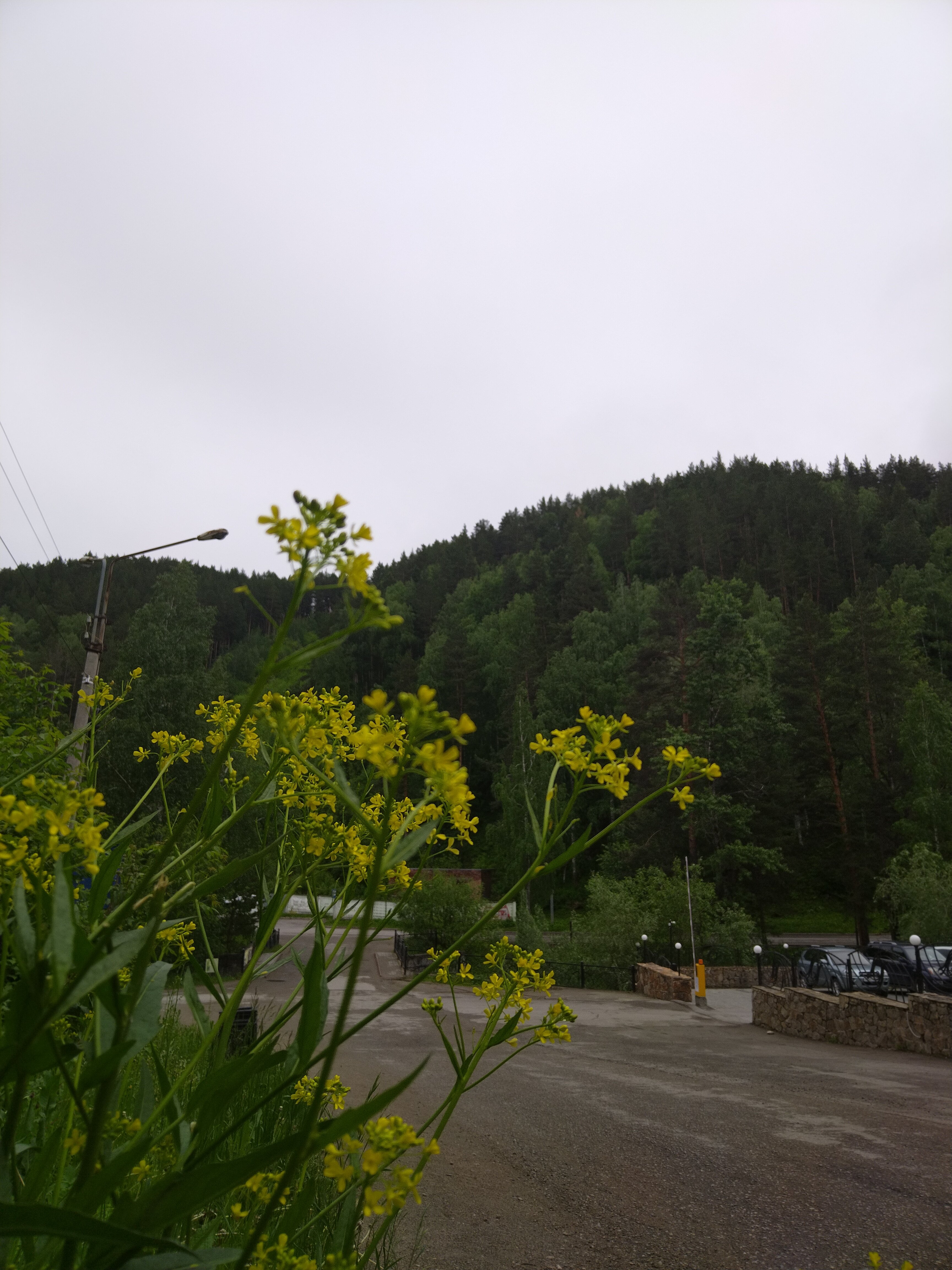 Фото Транссиб