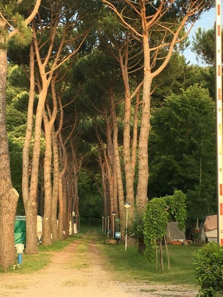 Фото Camping Amalasunta