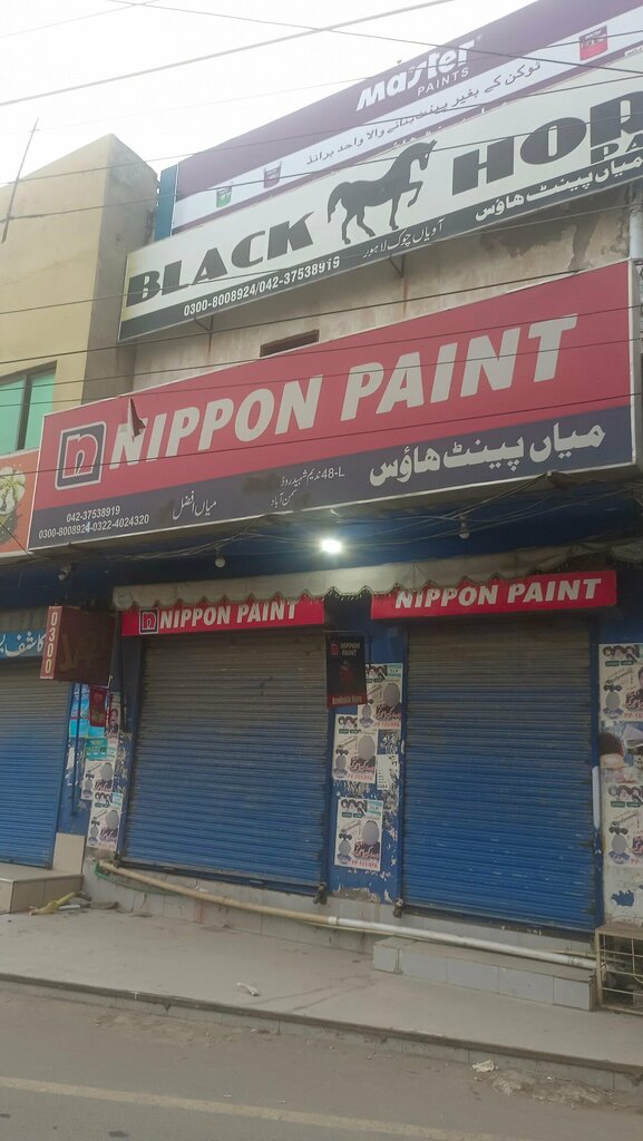 Paintwork materials Nippon Paint House, Lahore, photo