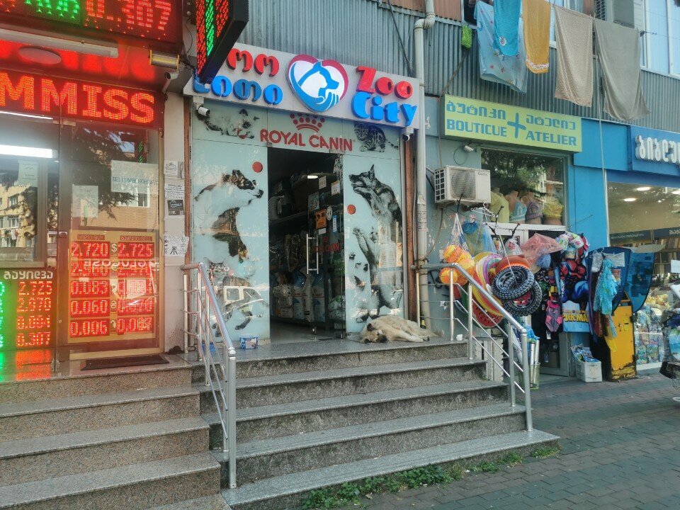 Pet shop Zoo City, Batumi, photo