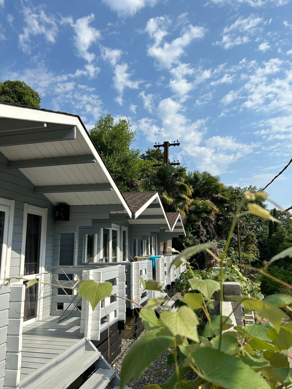 Фото Наши любимые