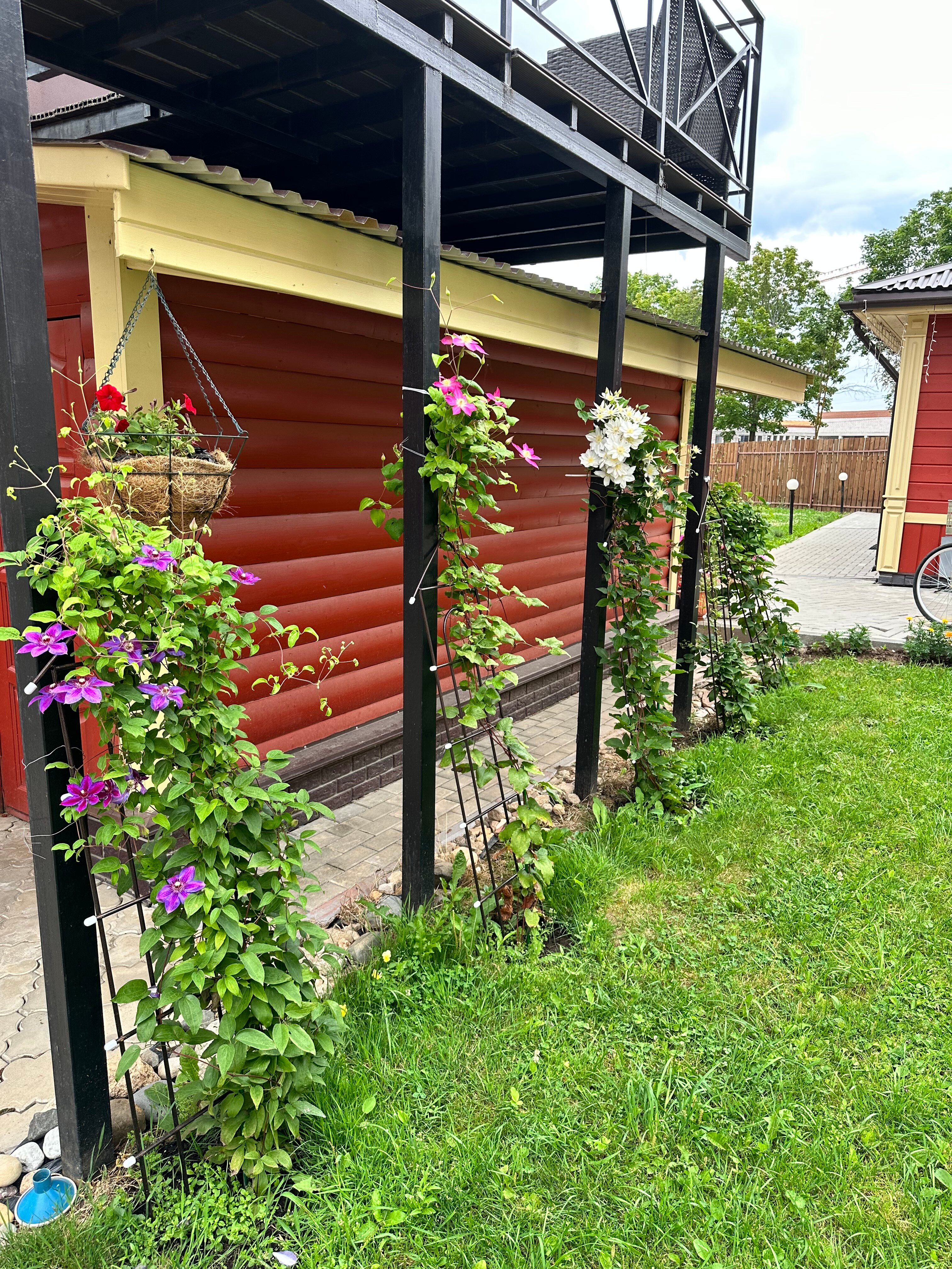 Фото Волшебный сад