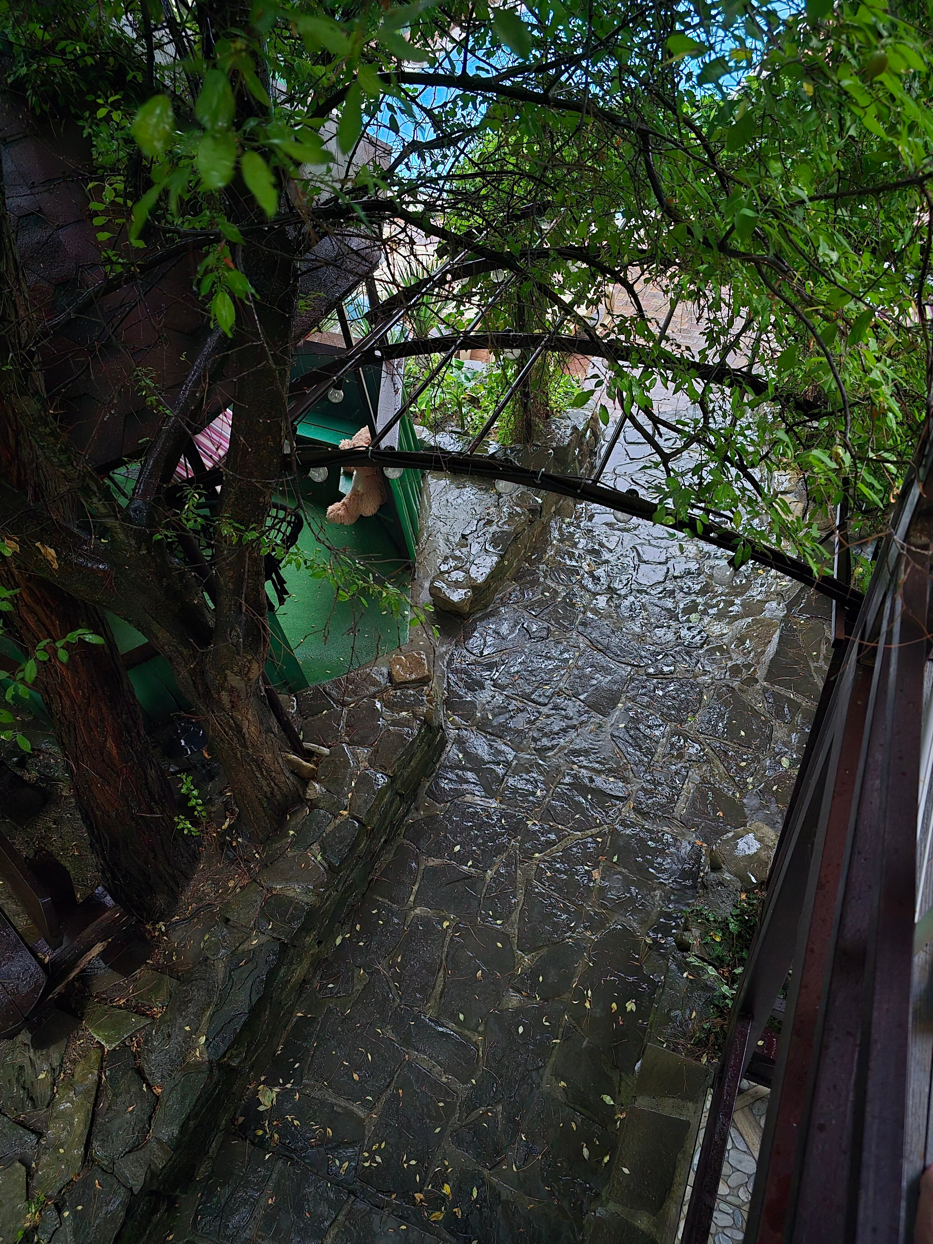 Фото Баден-Баден