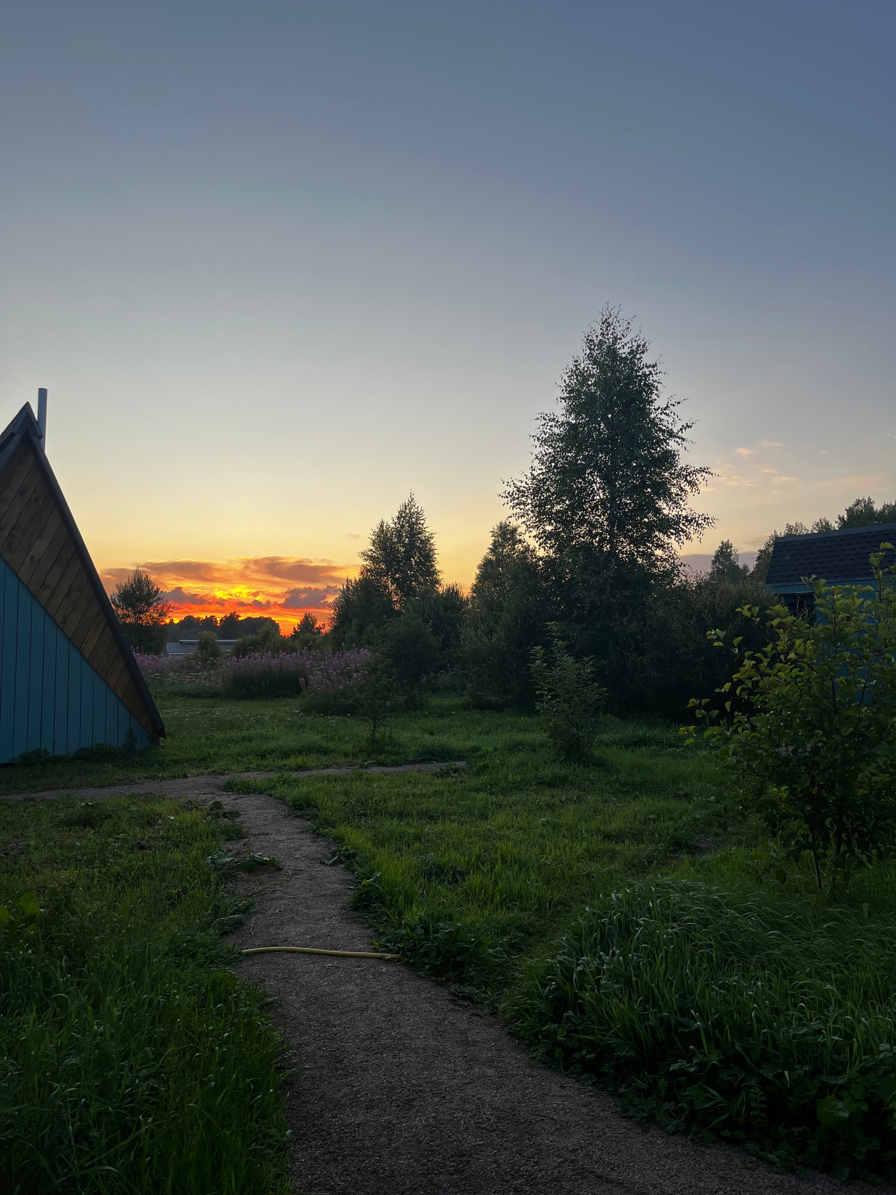 Фото Ракита