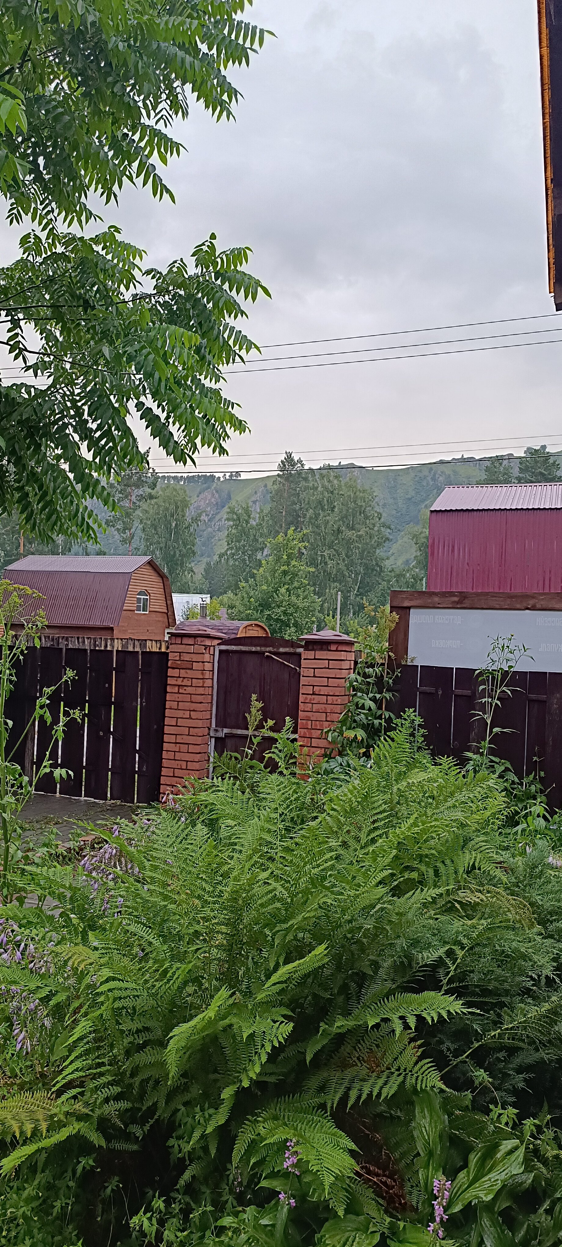 Фото Тёщина роща