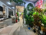 Decoroom (Dyuishonkul Shopokov Street, 89) ، متجر الهدايا والتذكارات