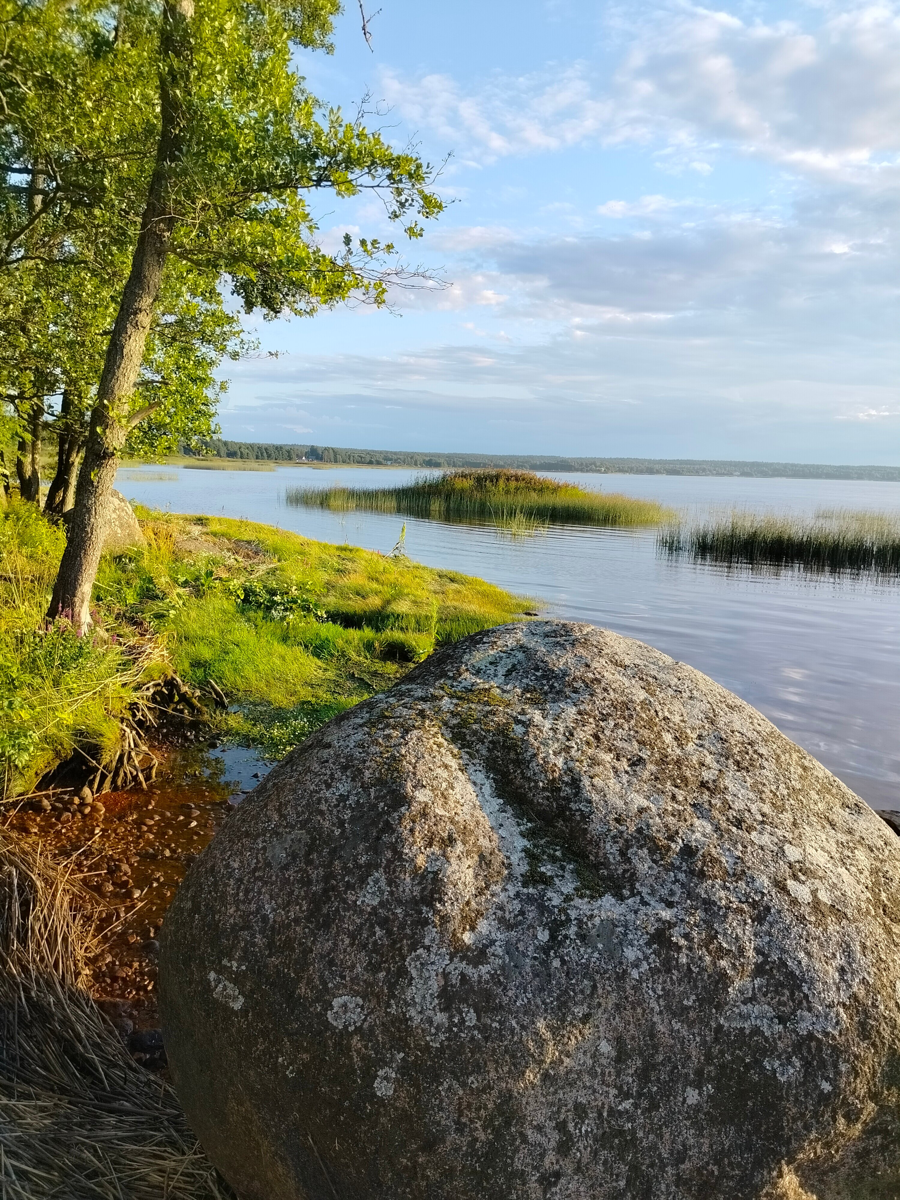 Фото Макслахти