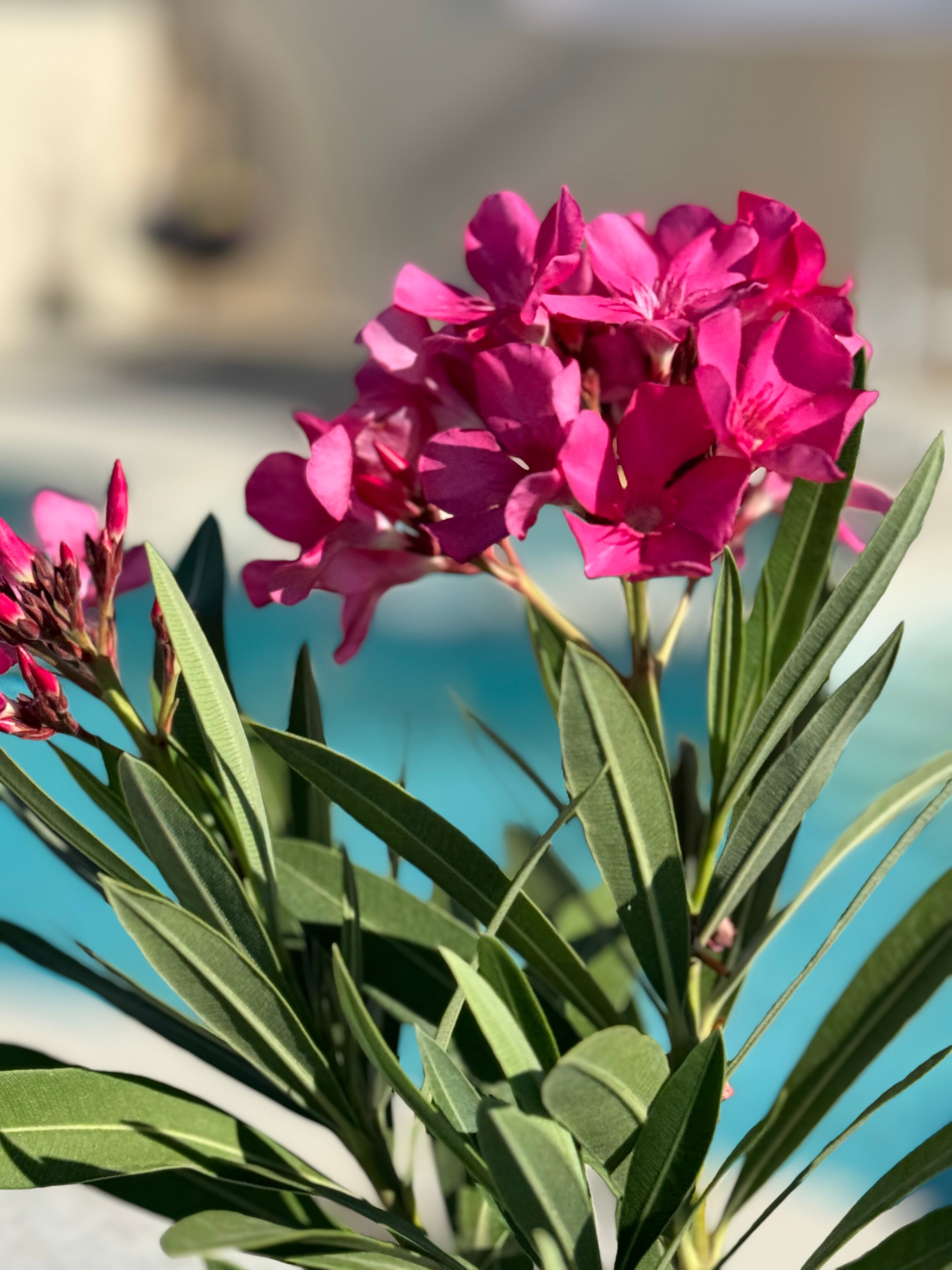 Фото Бухта Гуру