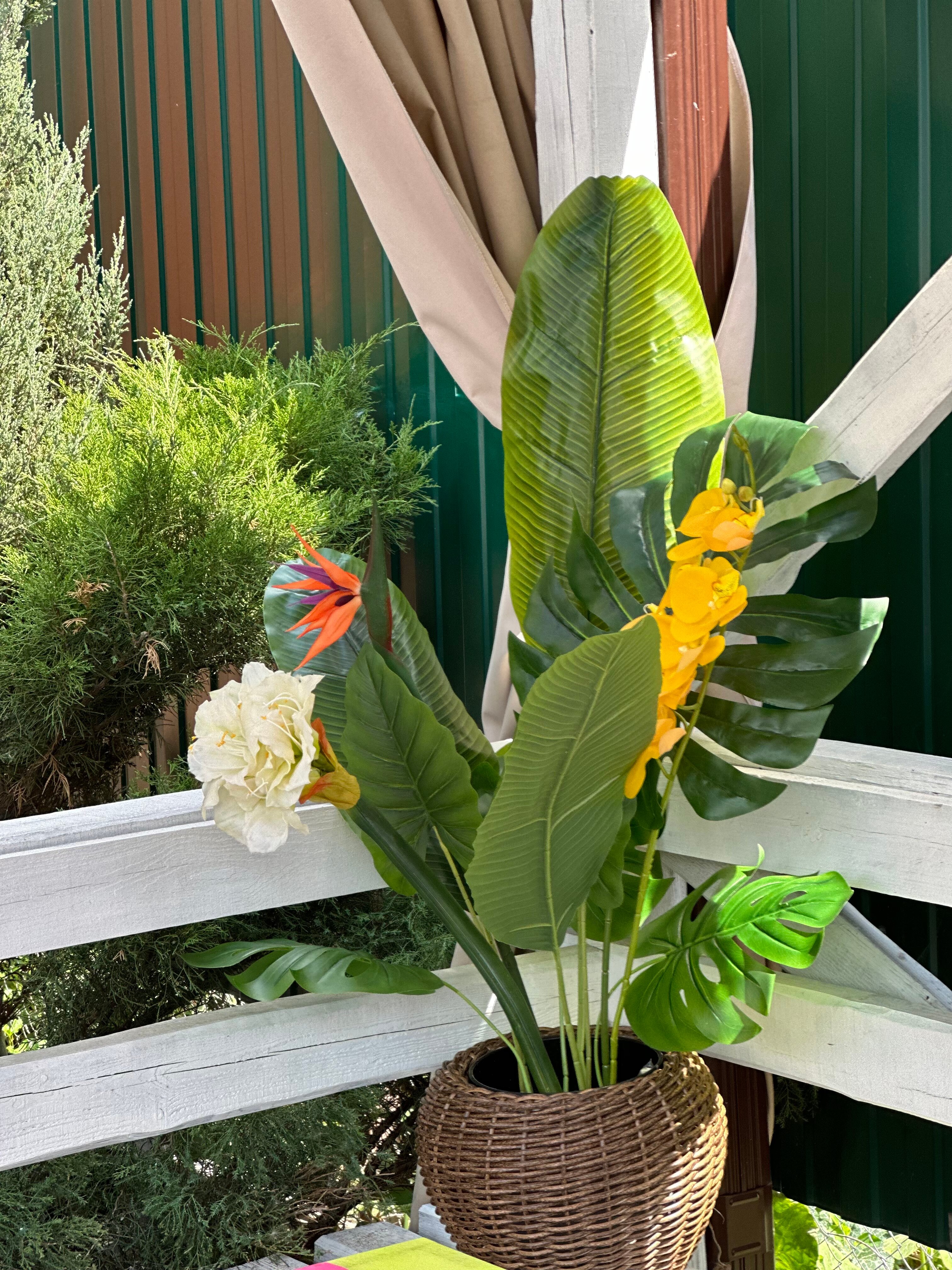 Фото Комфорт Дон