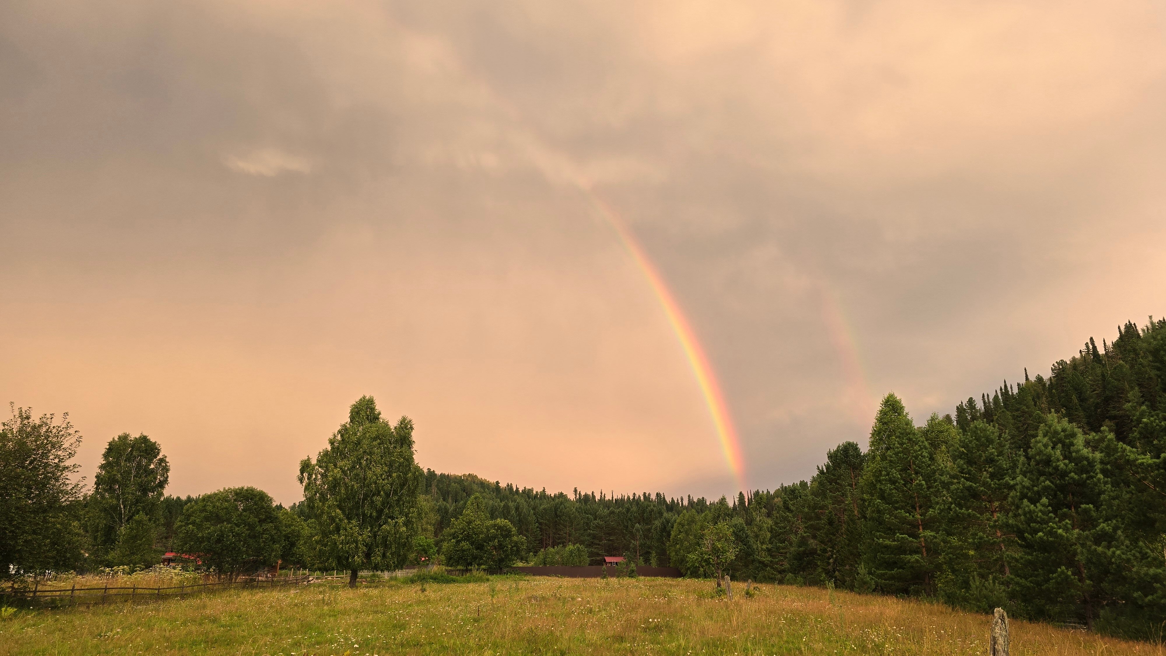 Фото Бия Браво