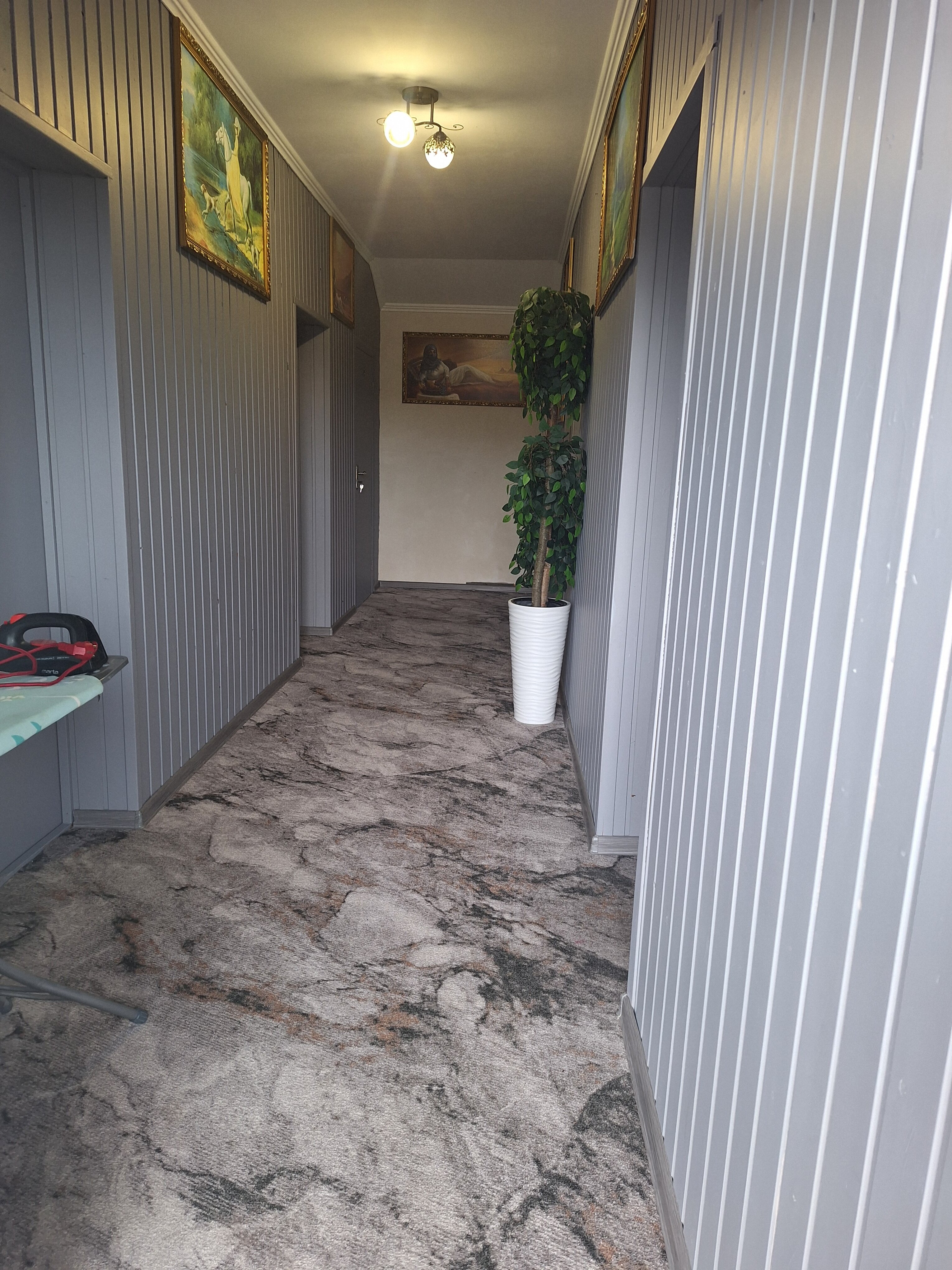 Фото Любовь и голуби