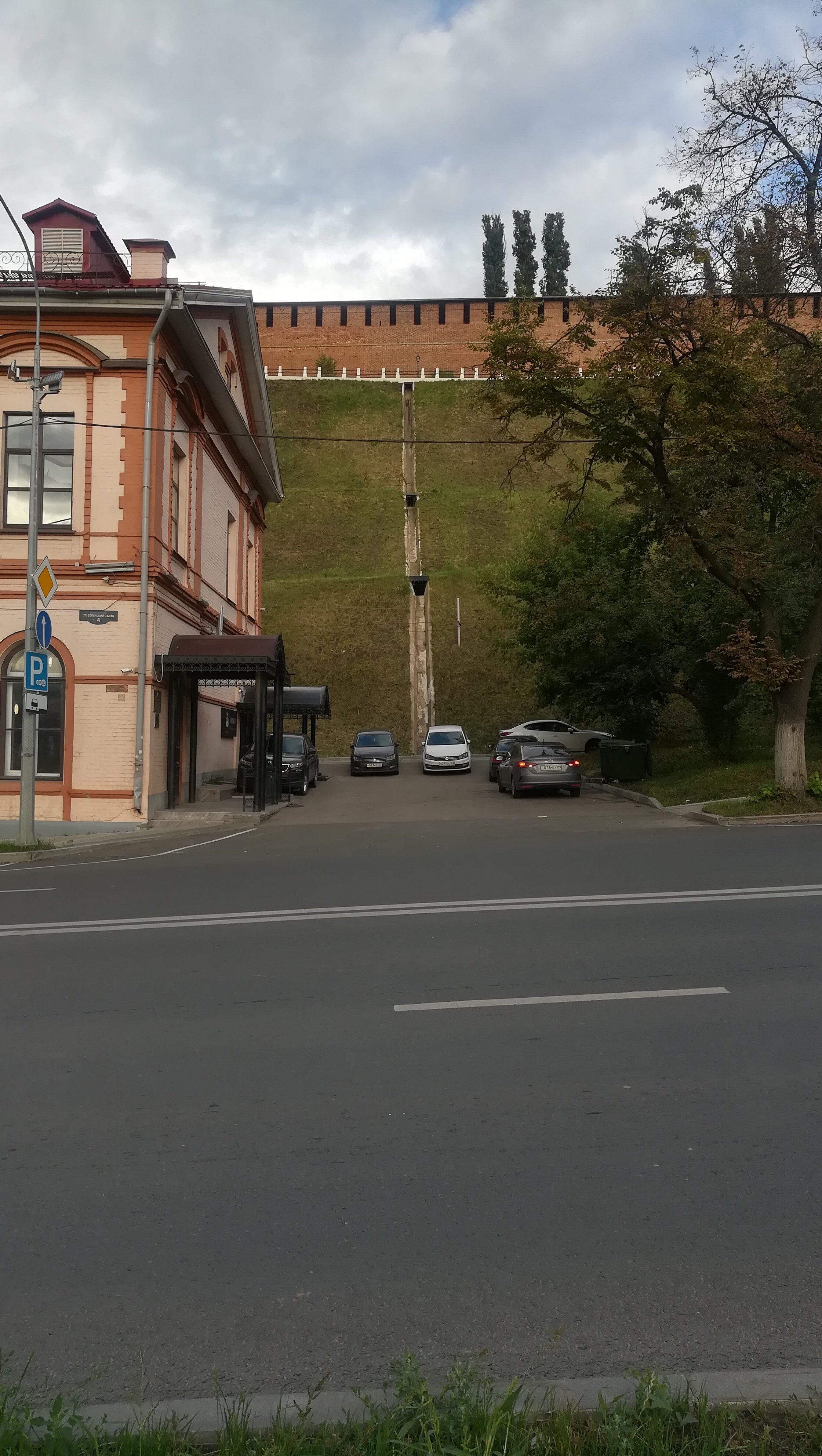 Фото Золотой Клевер