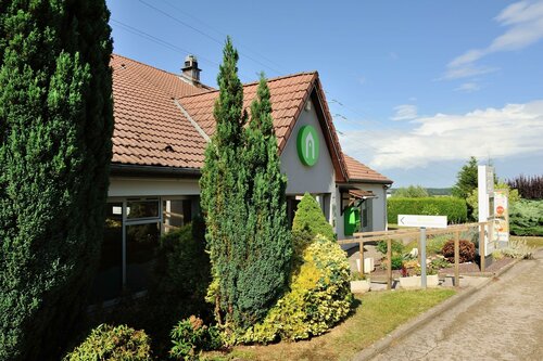 Гостиница Hôtel Restaurant Campanile Dole в Доле