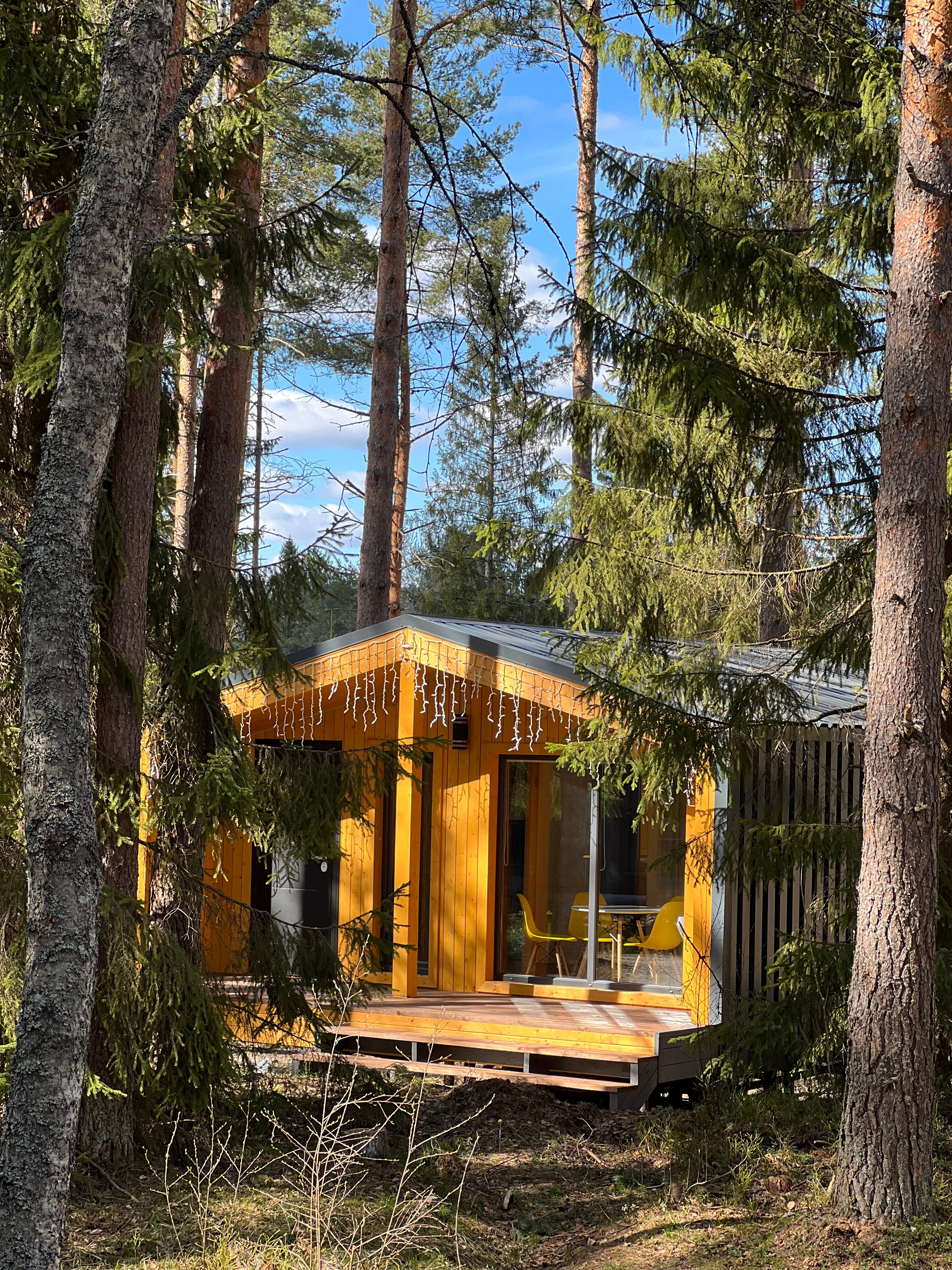 Фото Территория отдыха Лисички