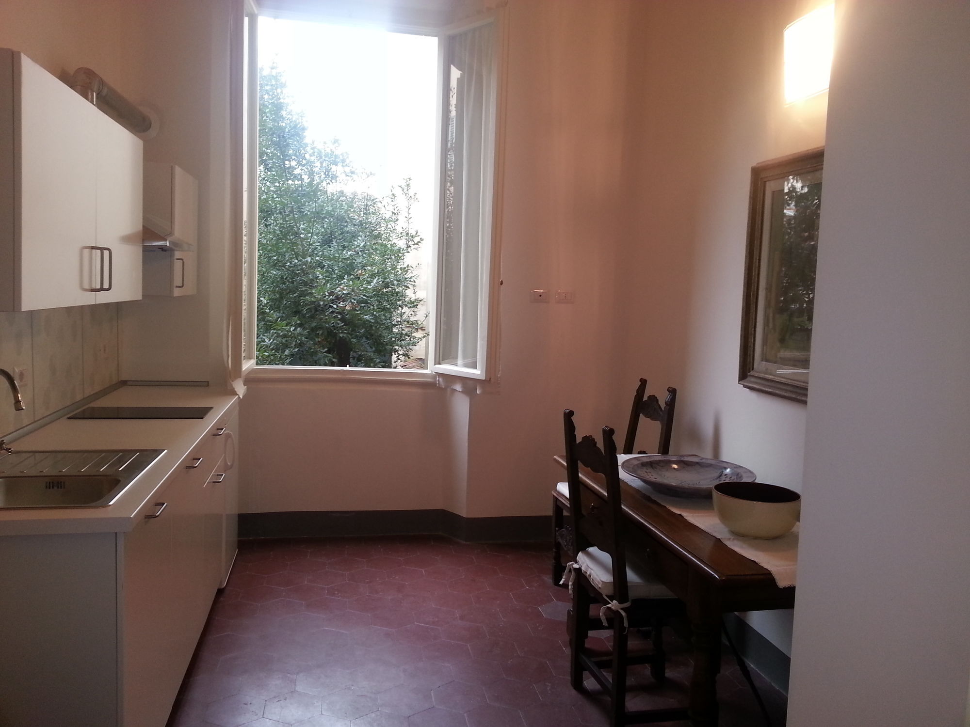 Фото Little Garden Donatello