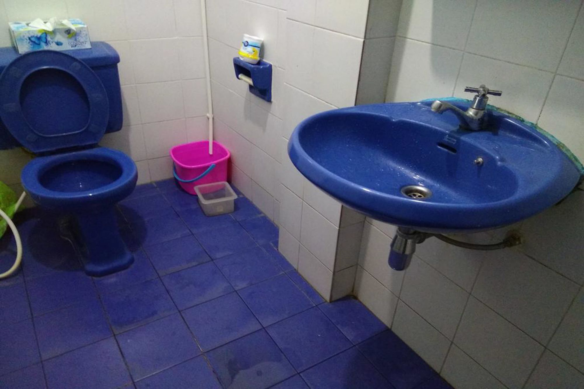 Фото Shady's Hostel