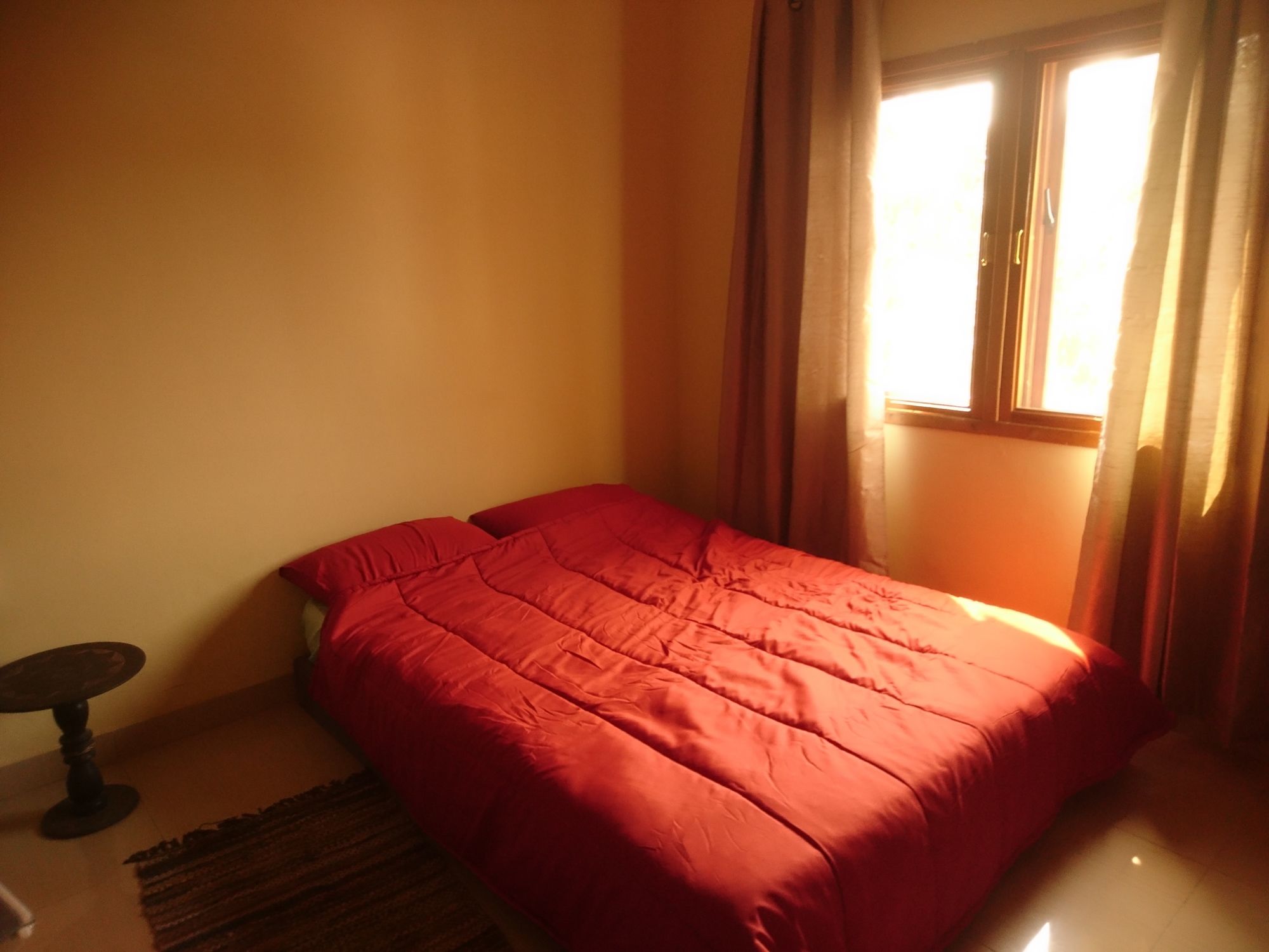 Фото The Golden Apple