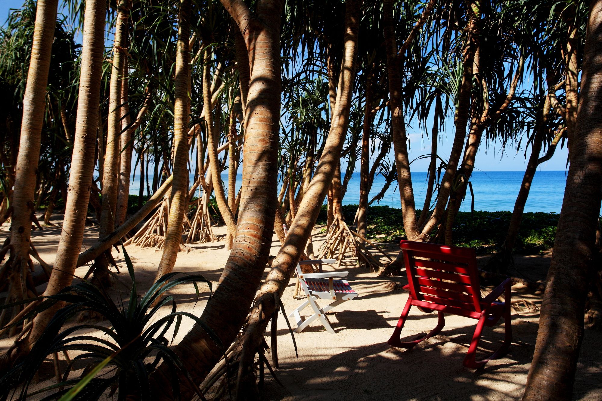 Фото Baba Beach Club Natai