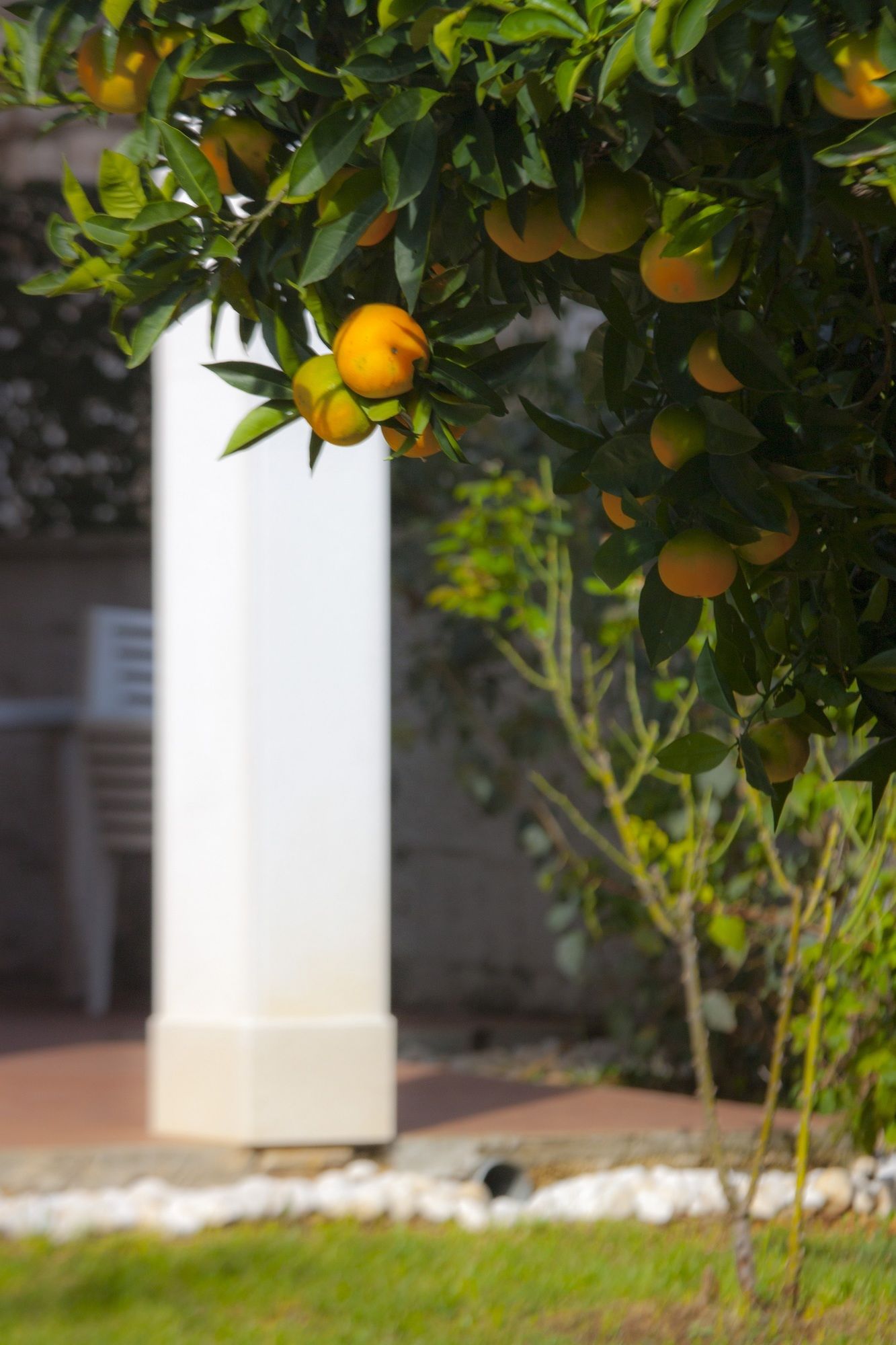 Фото Green Park Apartments