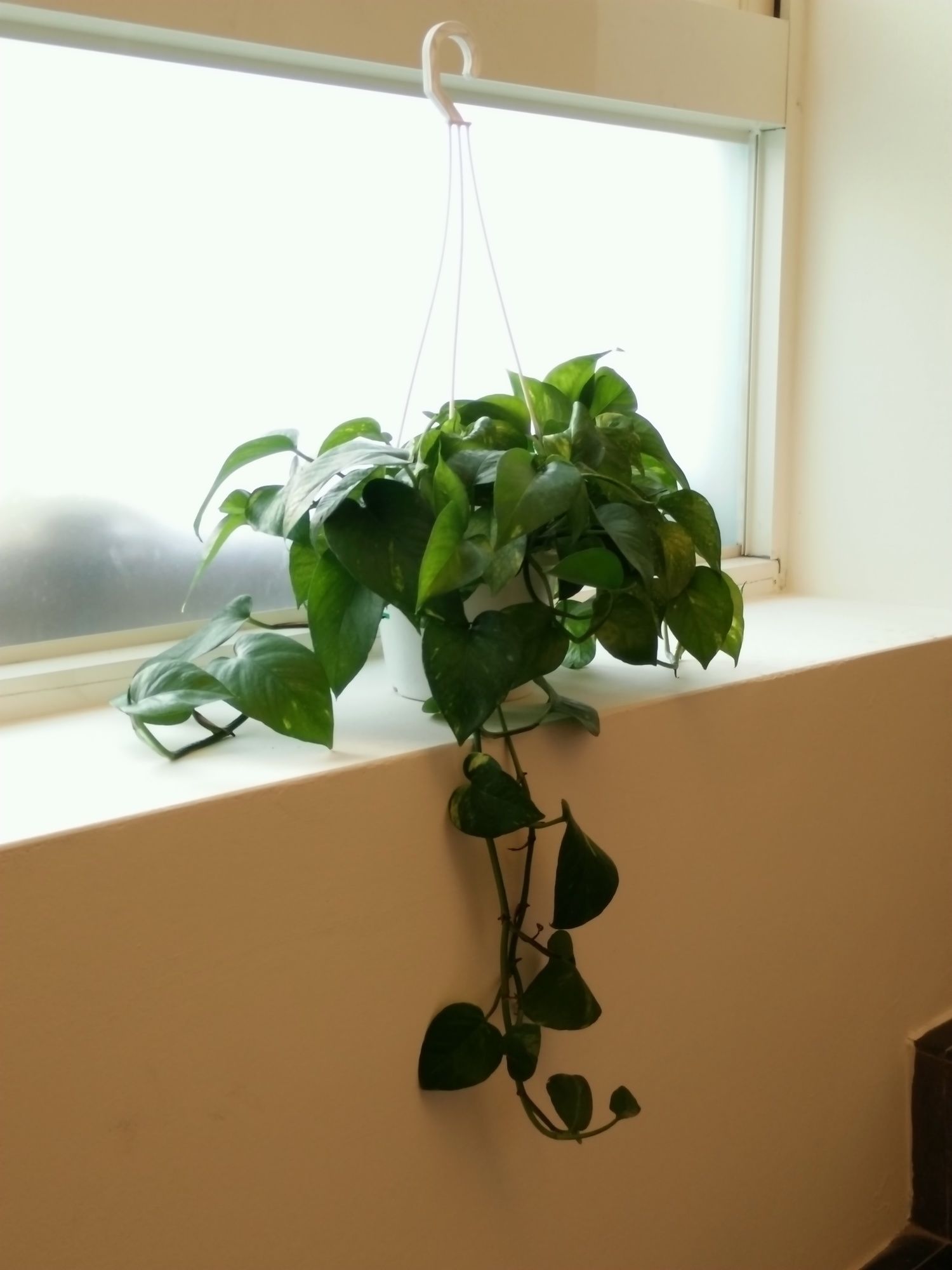 Фото Taitung Z. Hotel