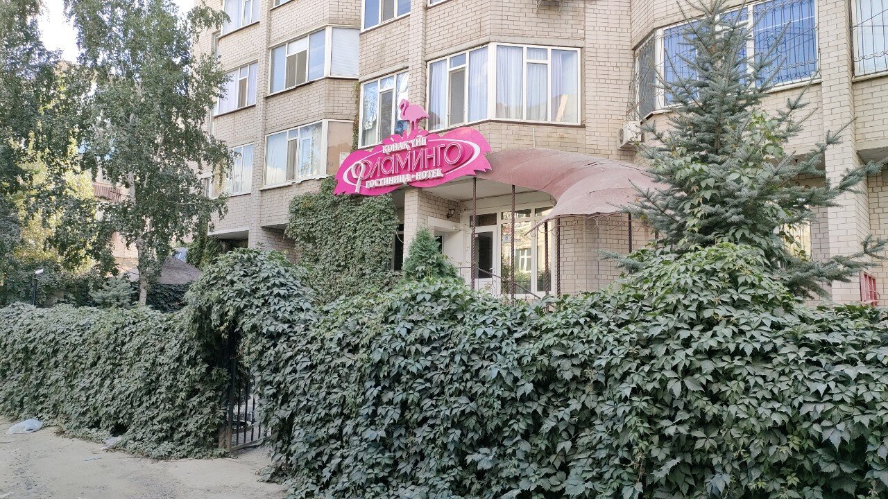 Фото Фламинго Отель