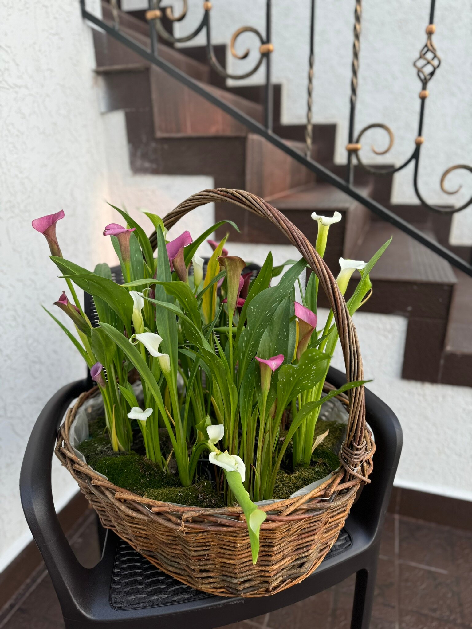 Фото Каса Бланка