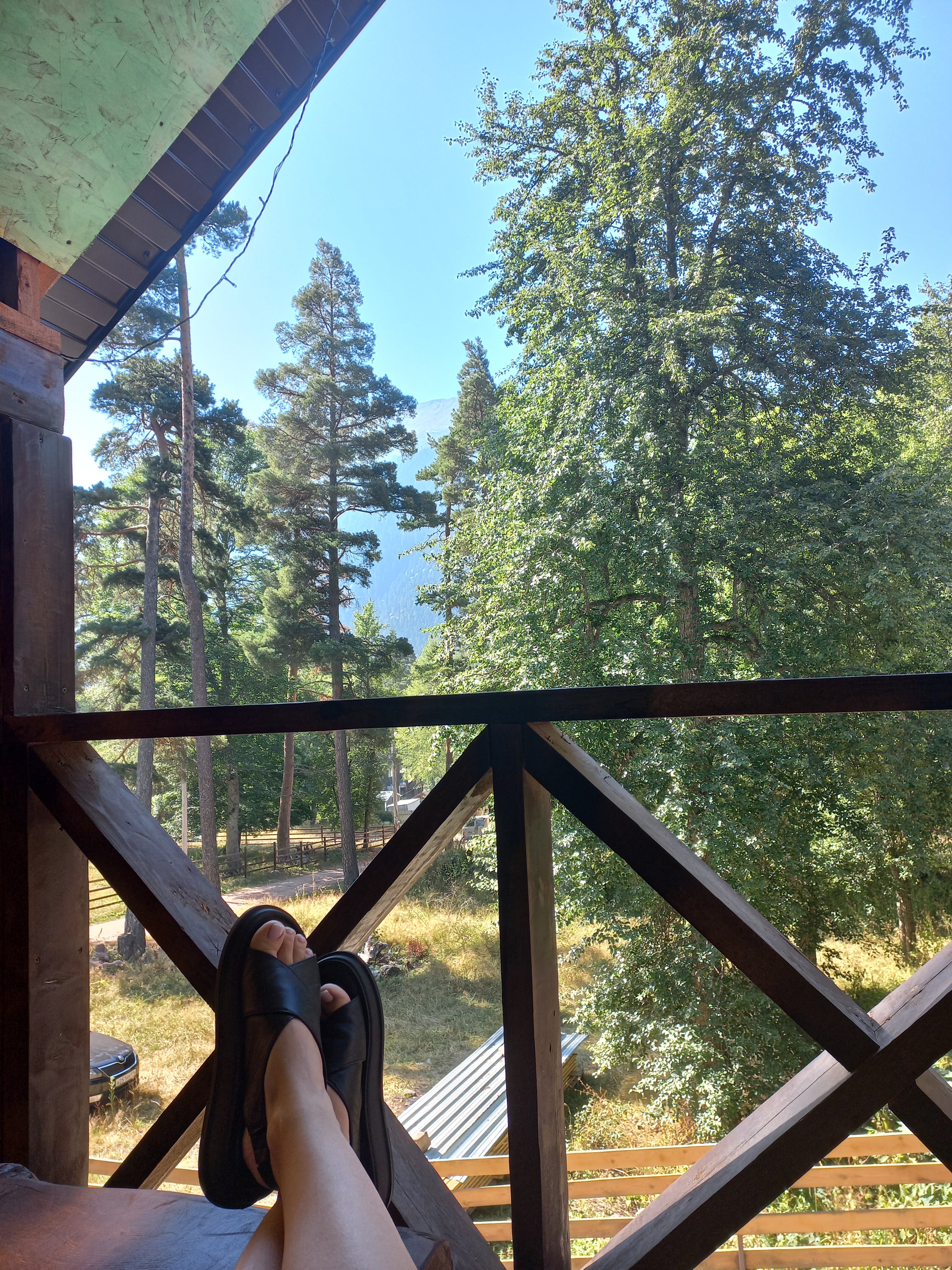 Фото Тайга House