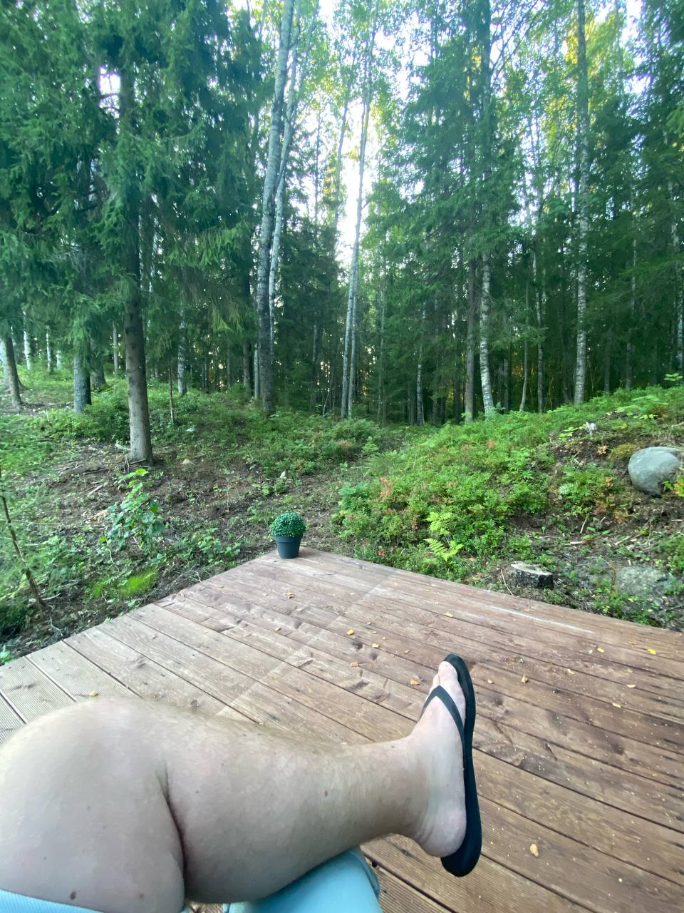 Фото Лес'Ок