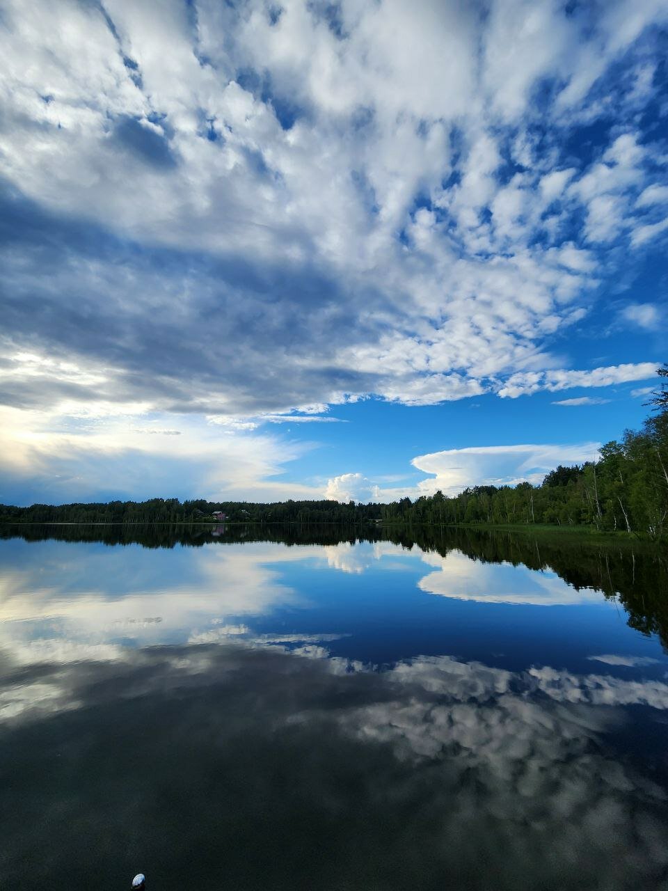 Фото Ласточкино гнездо