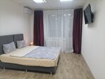 Apartment (ulitsa Akademika Vedeneyeva, 31) ، سكن للإيجار اليومي