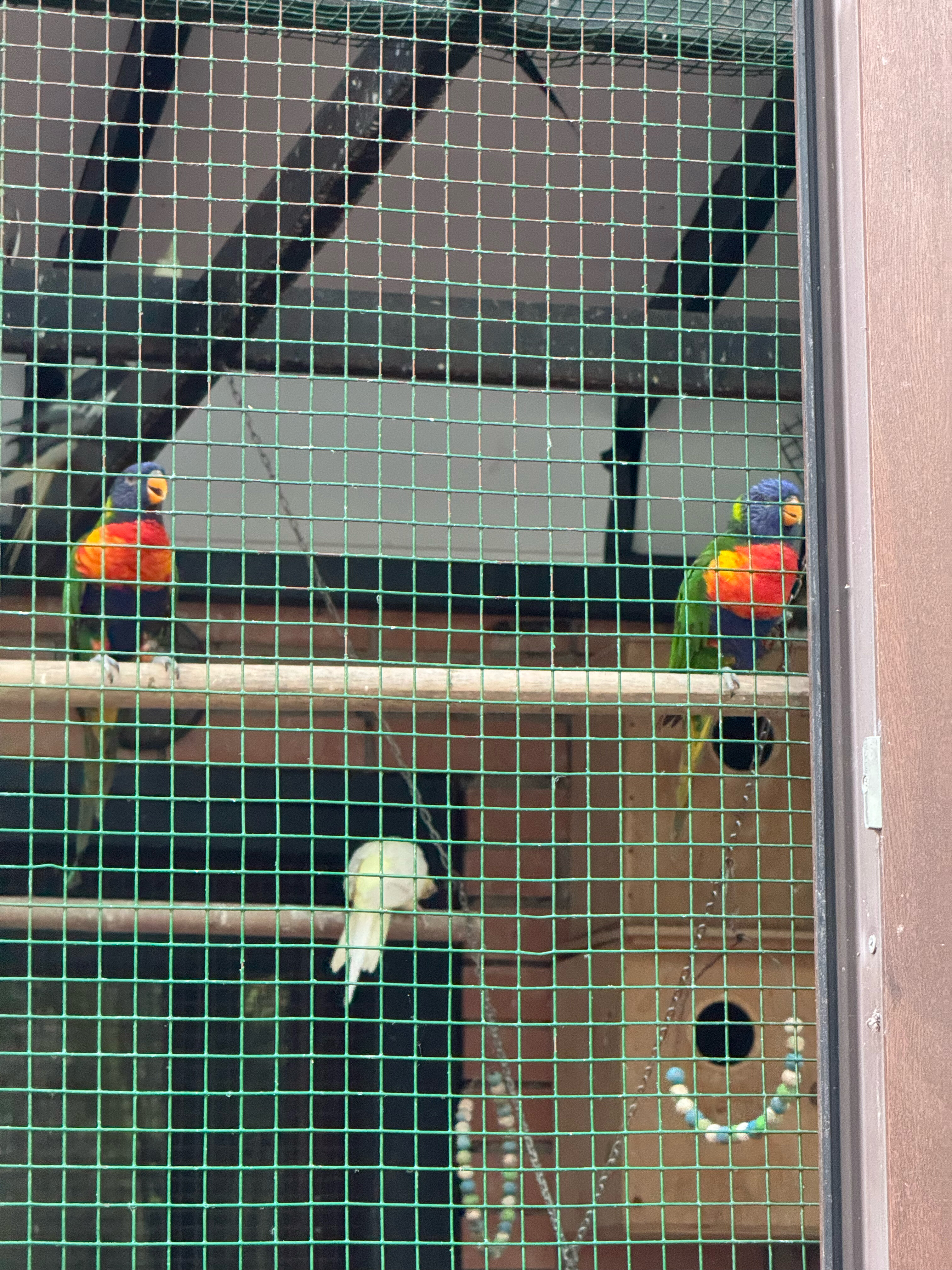 Фото Батумский бульвар