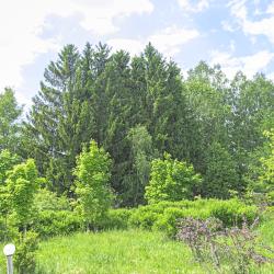 Фото Поле-отель Новая Салынь