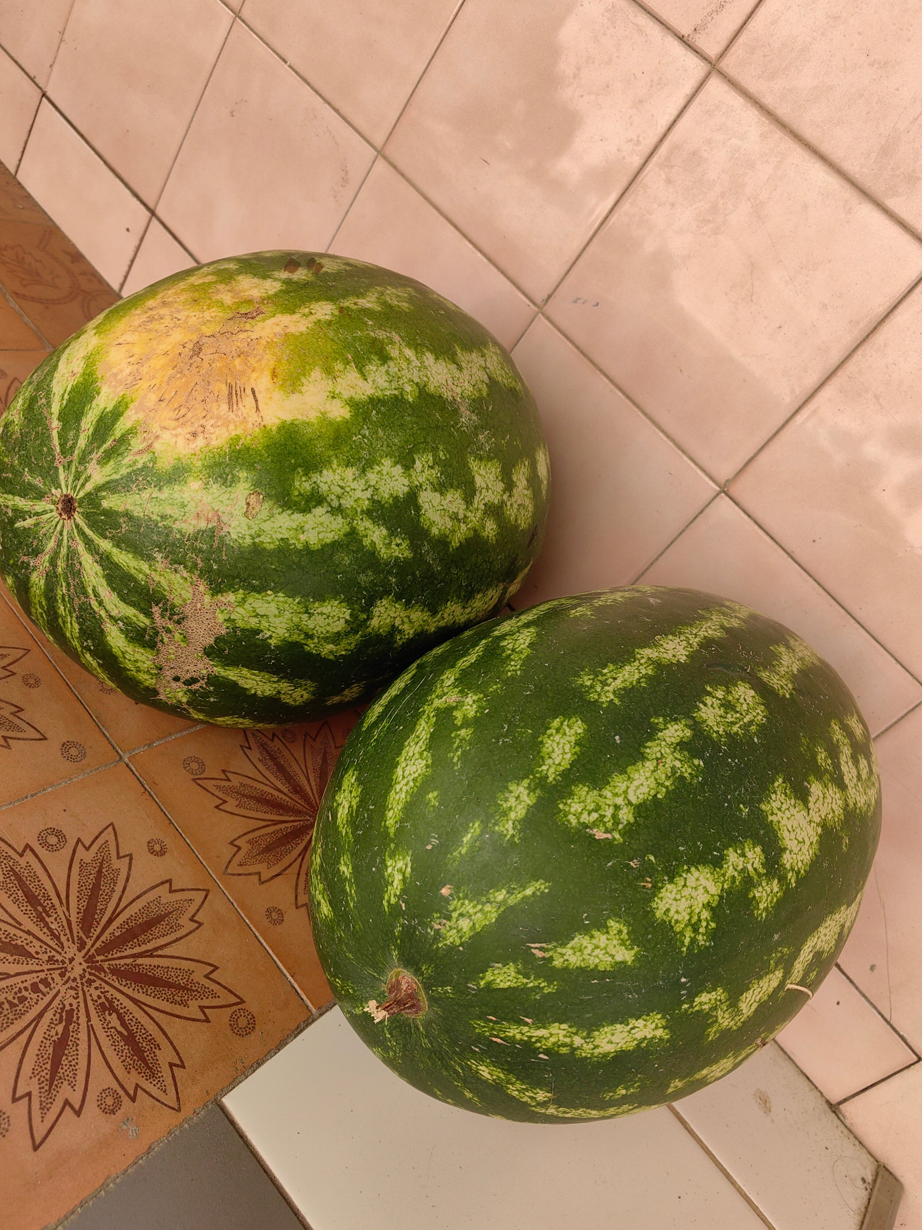 Фото Мебелированные комнаты на Черноморском побережье