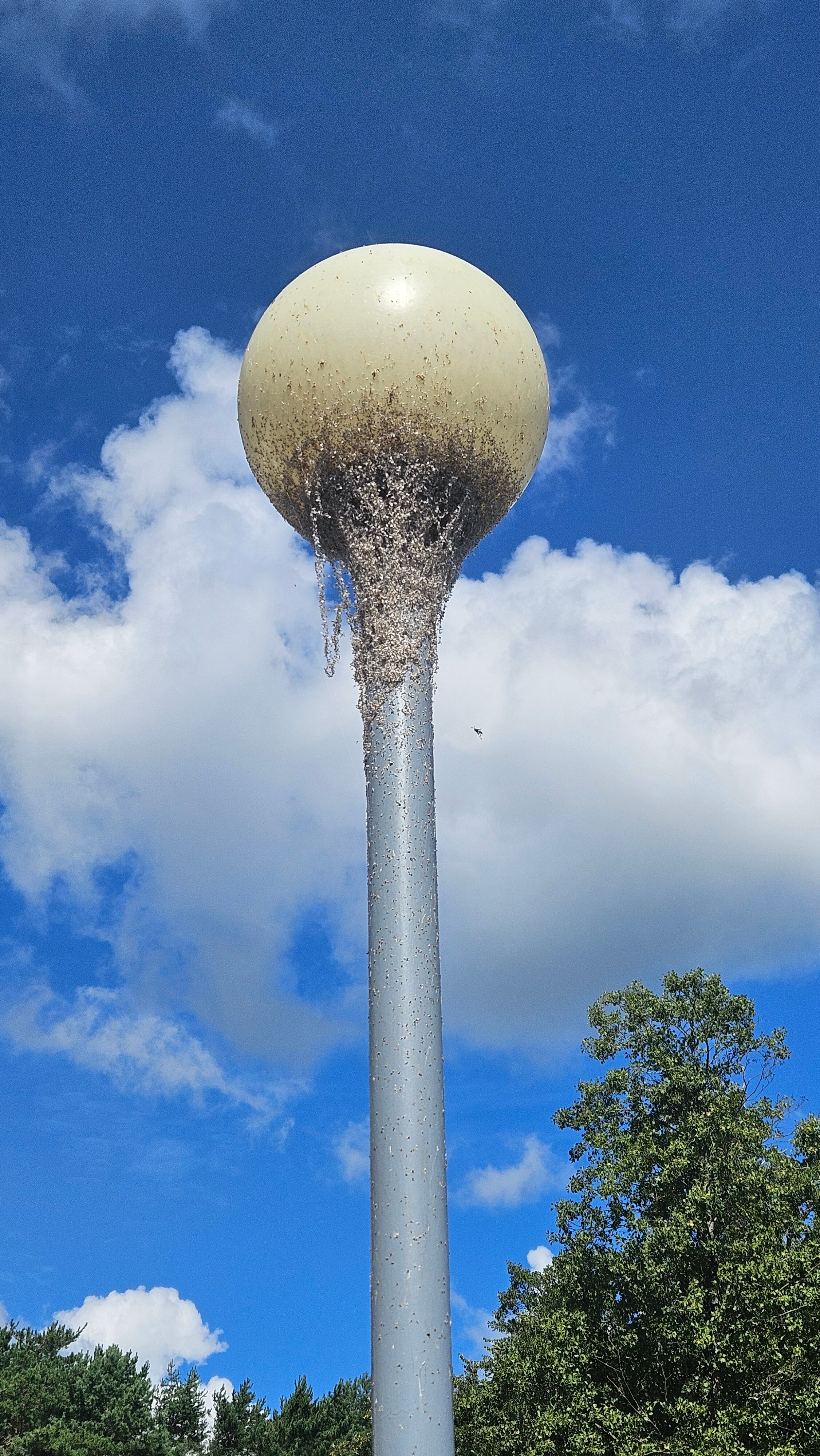 Фото Дривяты