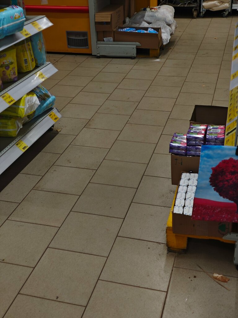 Supermarket Magnit Moya tsena, Tula Oblast, photo