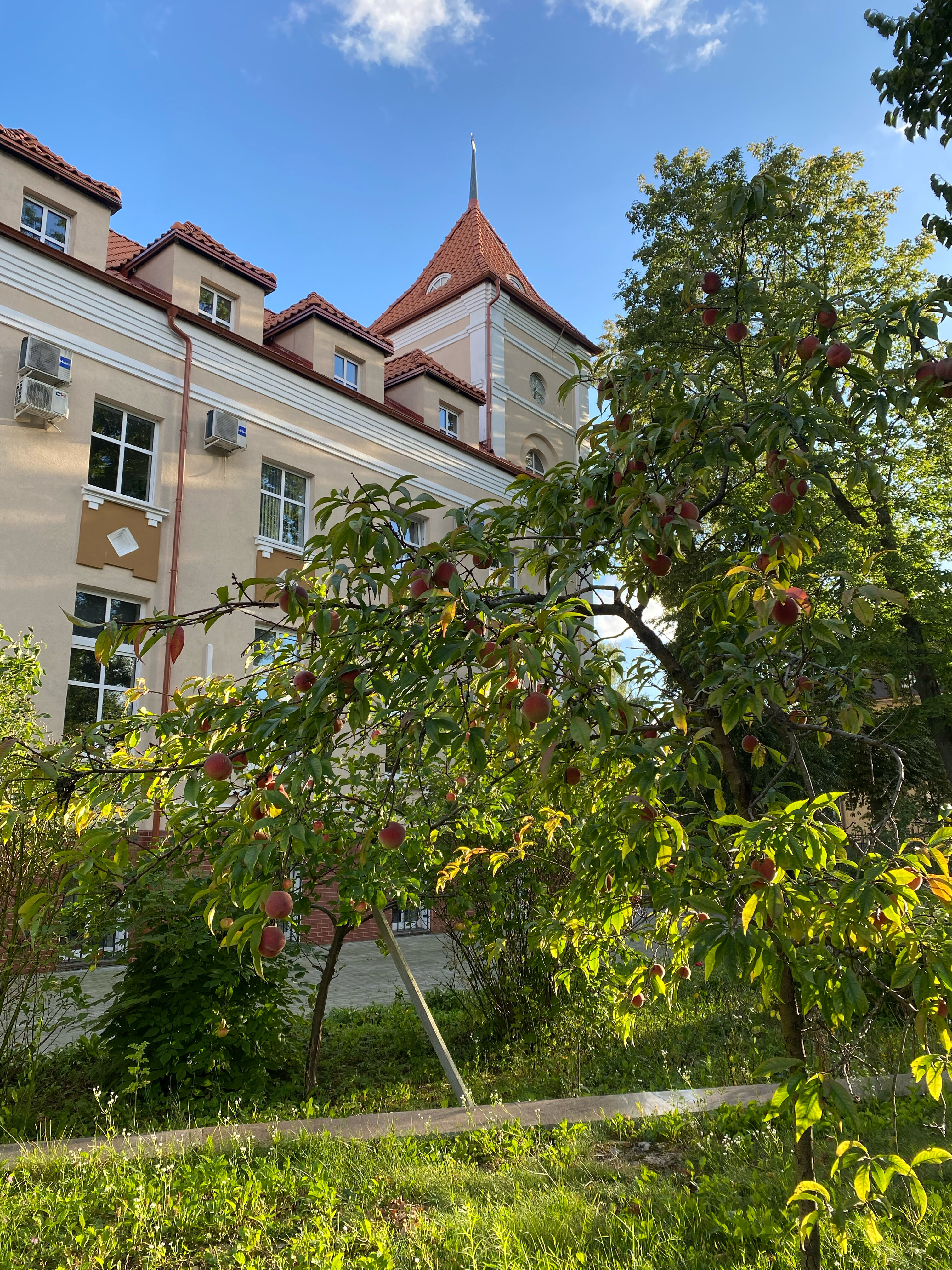 Фото Friday Center