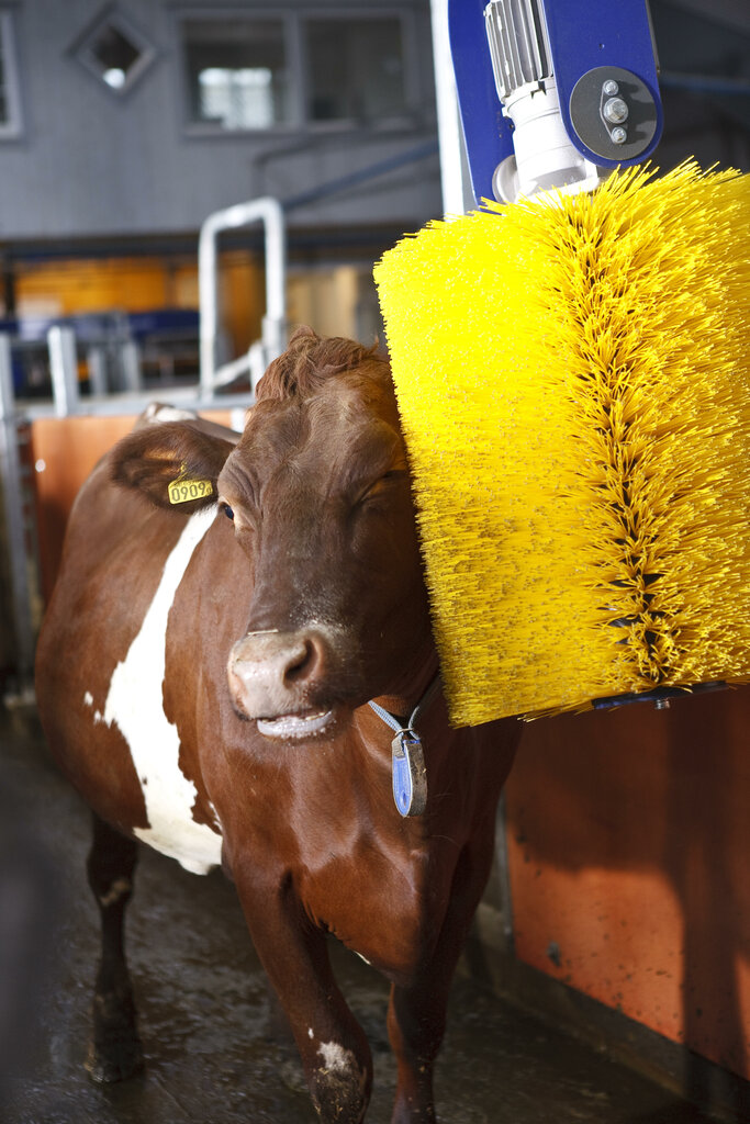 Agricultural machinery, equipment De Laval, Konya, photo