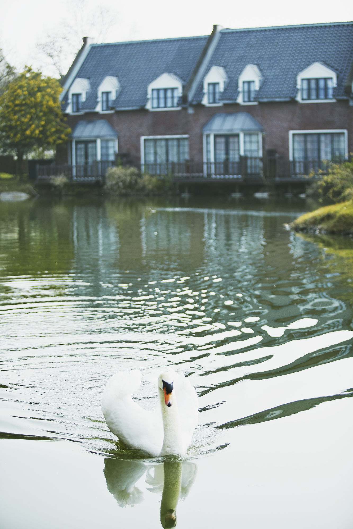 Фото Huis Ten Bosch Forest Villa