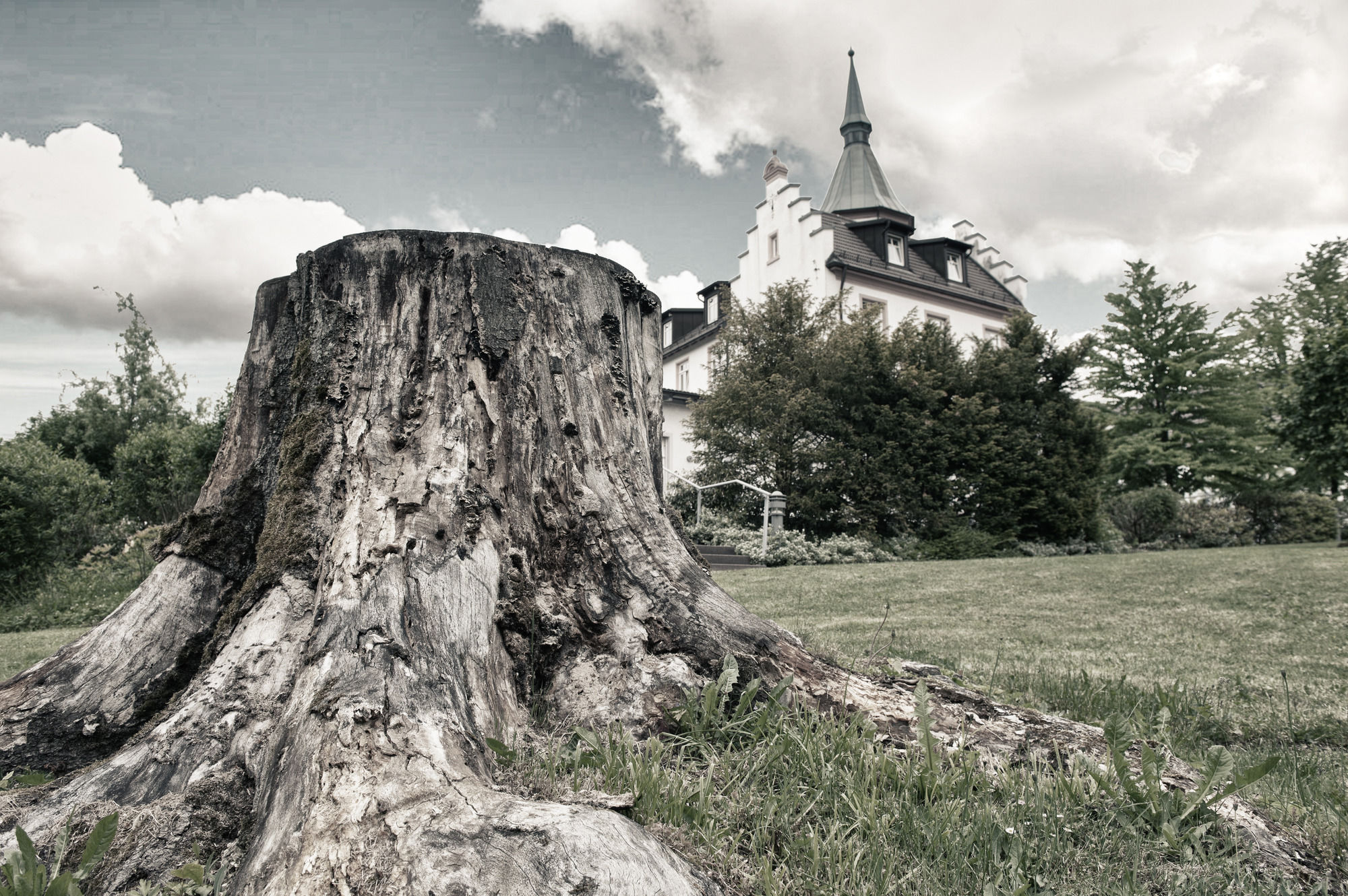 Фото Hotel Magnetberg Baden