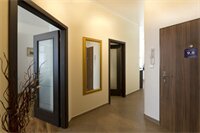 Фото Апартаменты Karla Capka Street