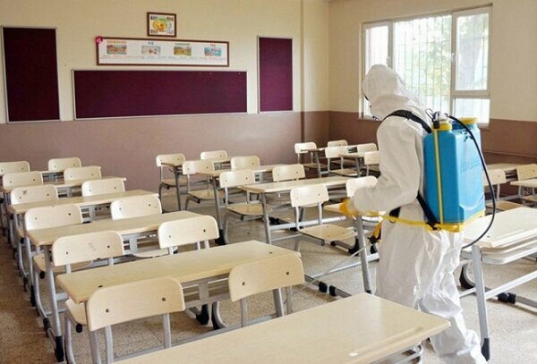 Disinfection, disinsection, deratization Naturelpest, Serdivan, photo