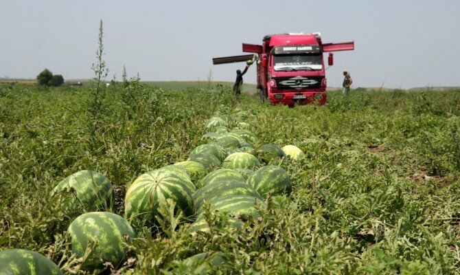 Agricultural machinery, equipment Fidebahcesi.com, Antalya, photo