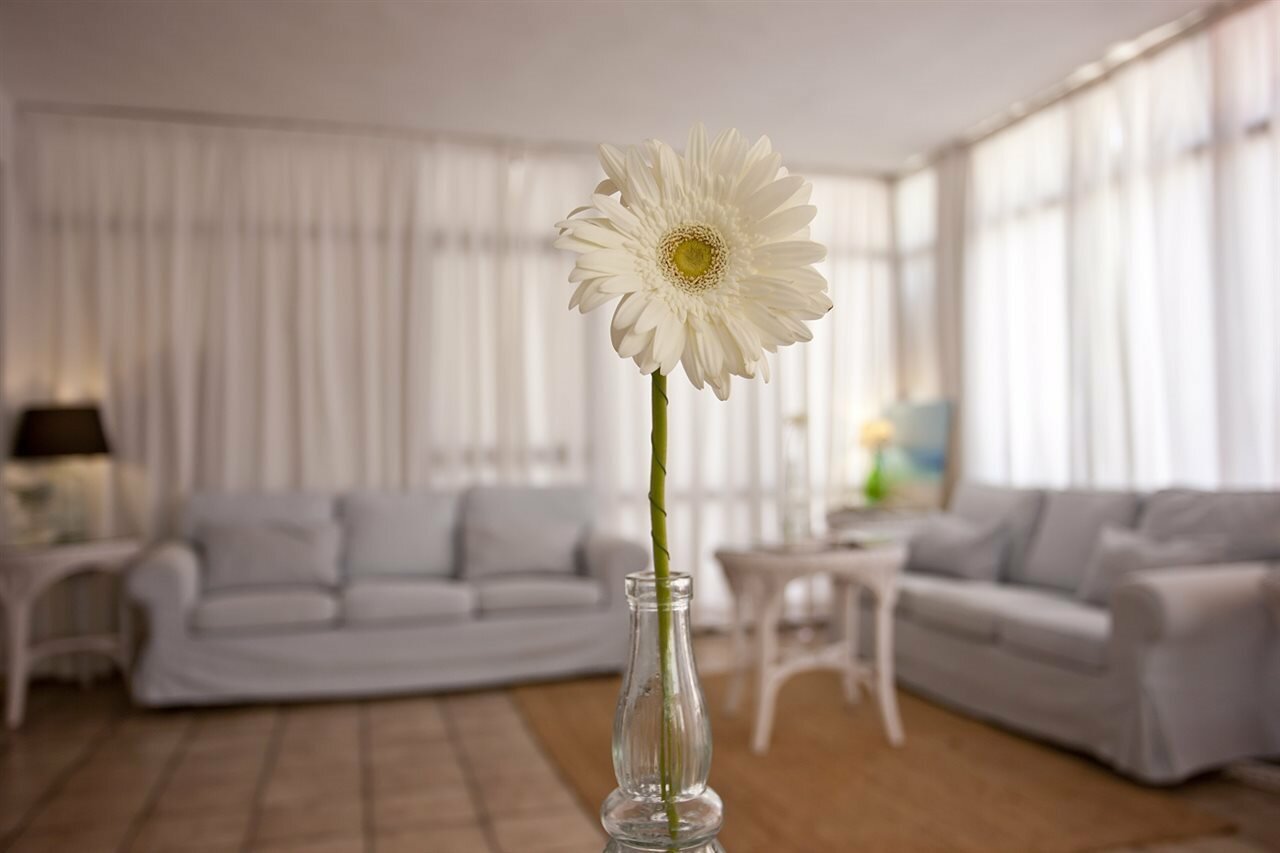 Фото Отель Galaxia Boutique